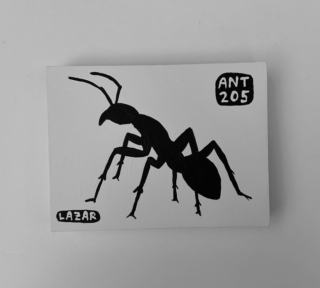 Ant #205