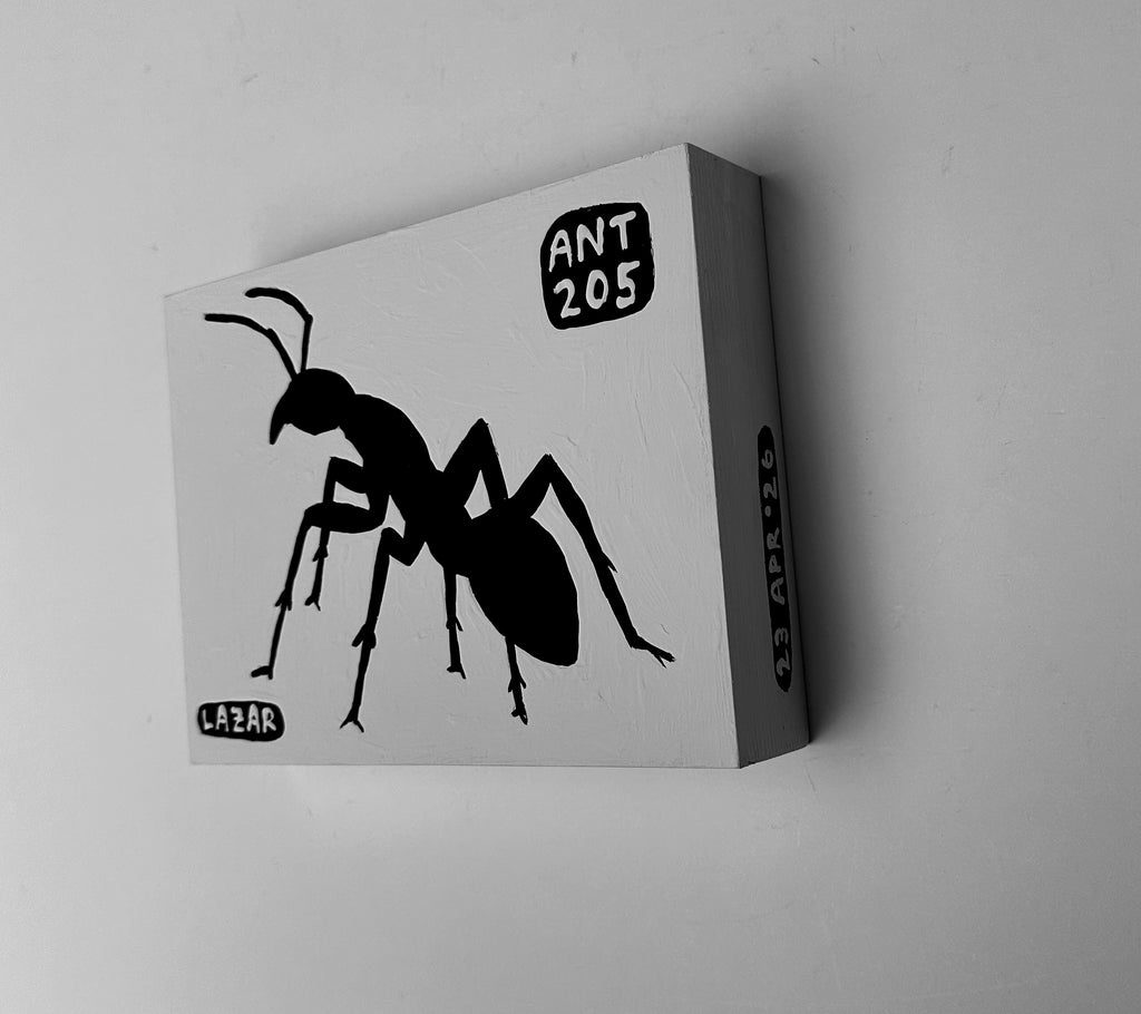 Ant #205