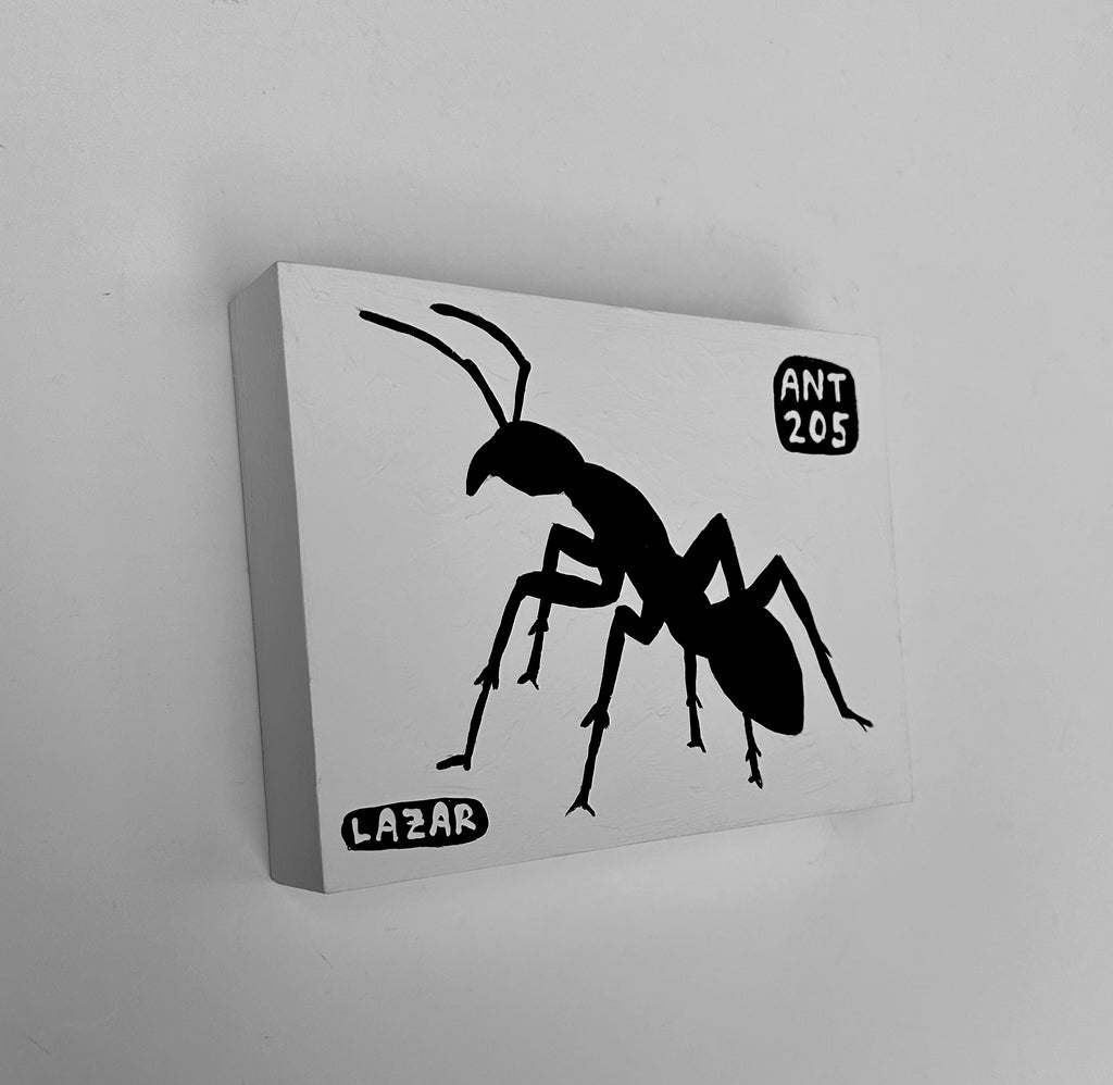 Ant #205
