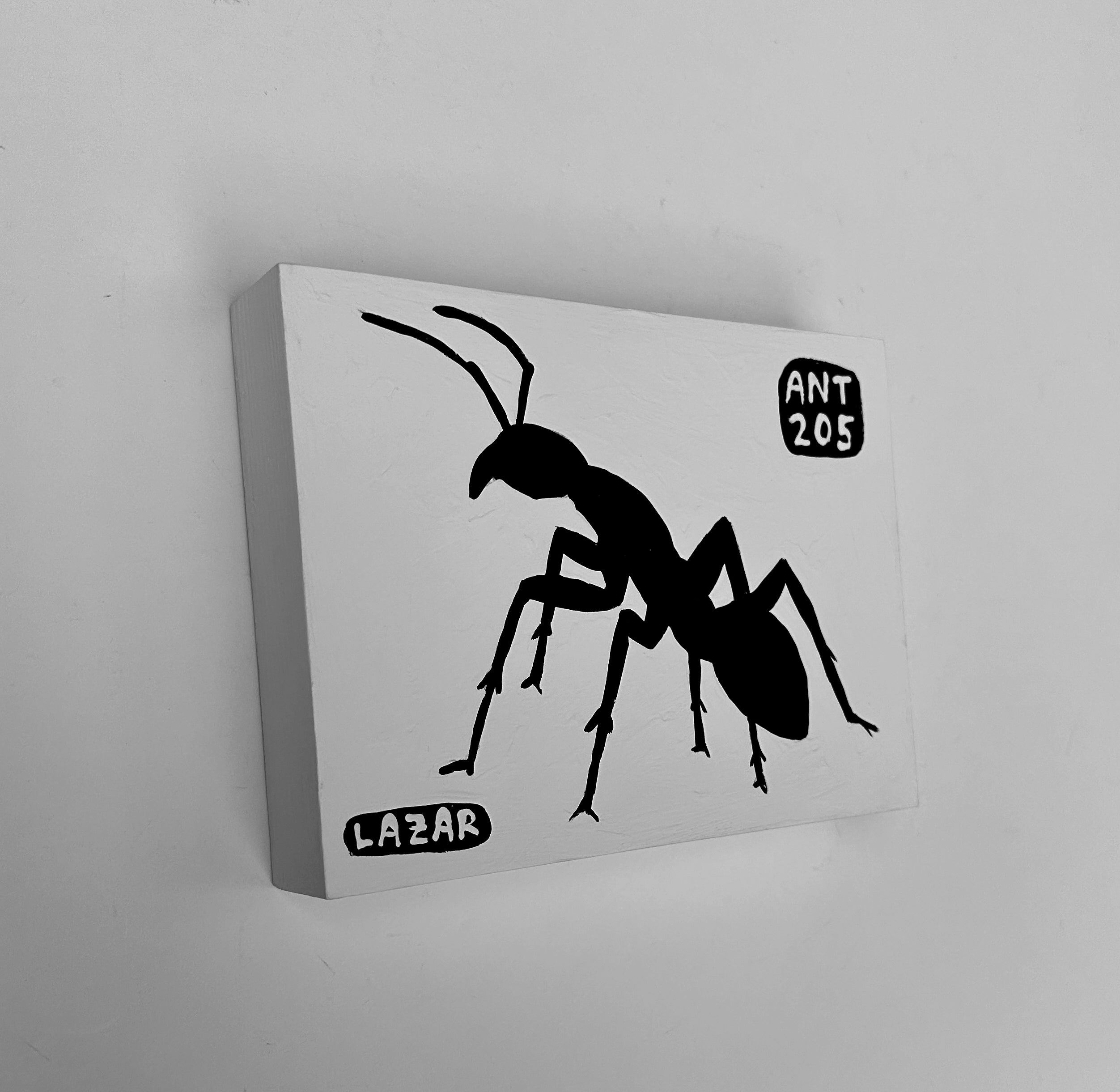 Ant #205