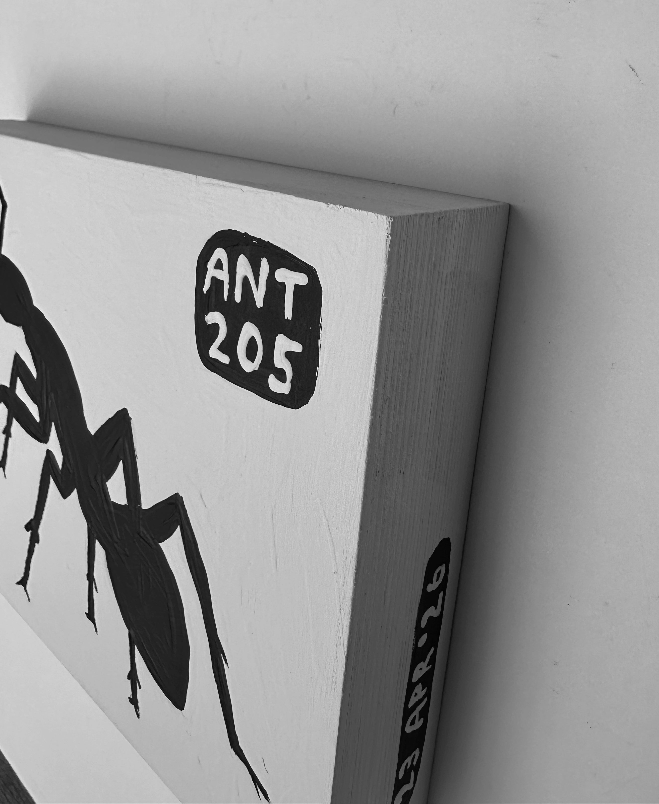Ant #205