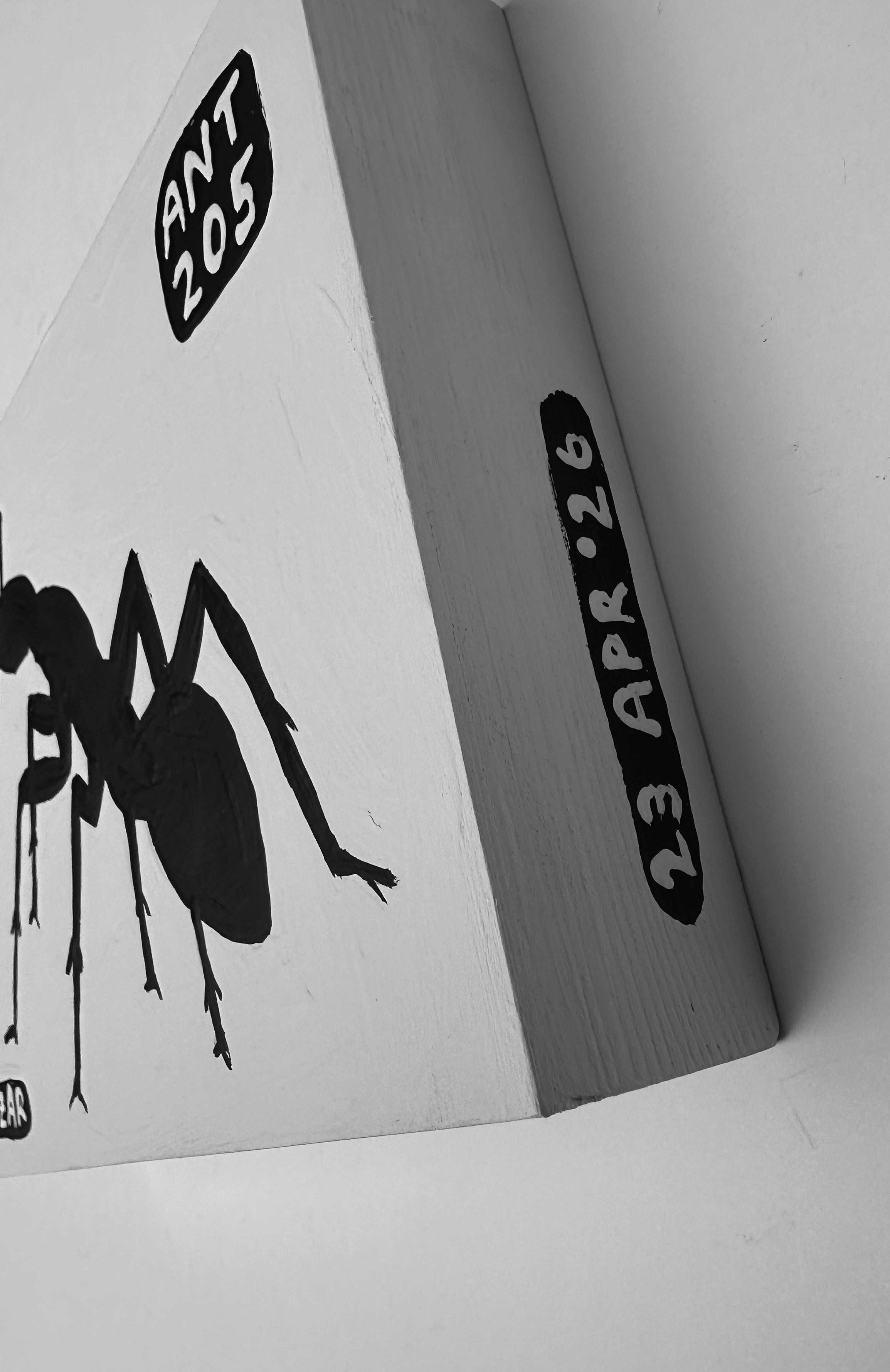 Ant #205