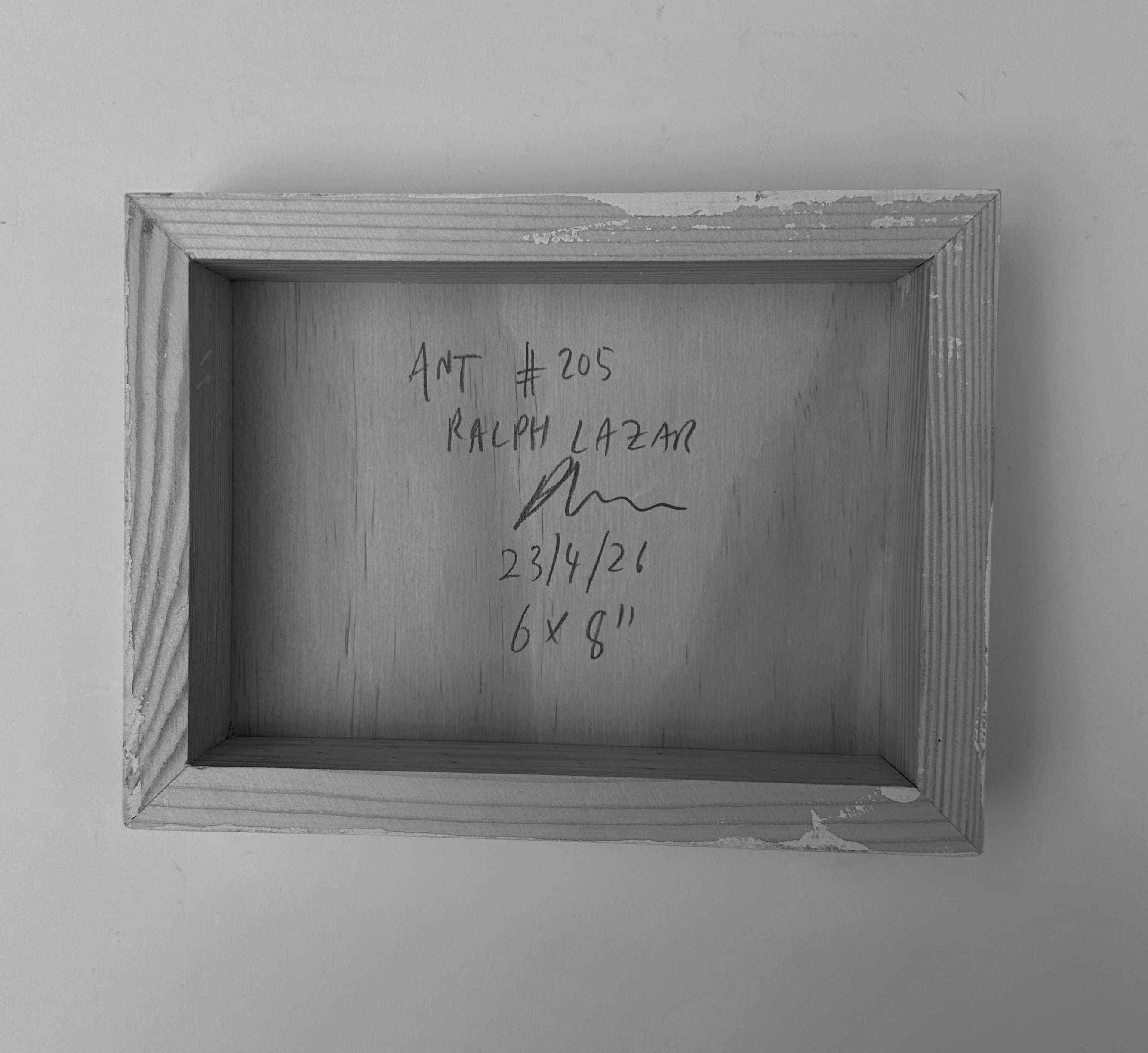 Ant #205