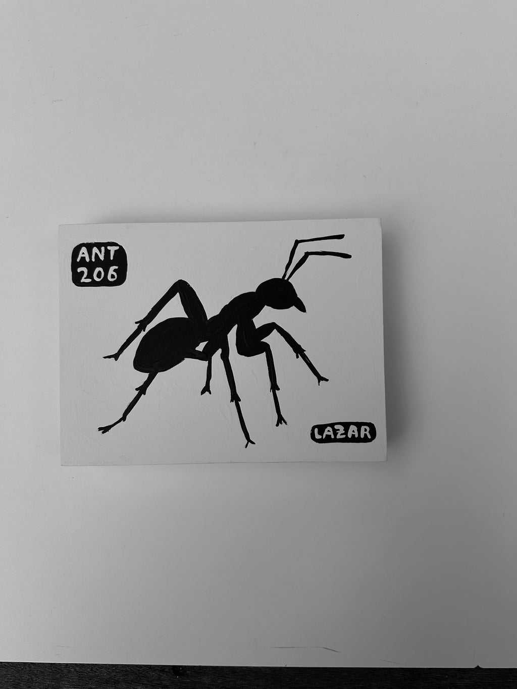 Ant #206