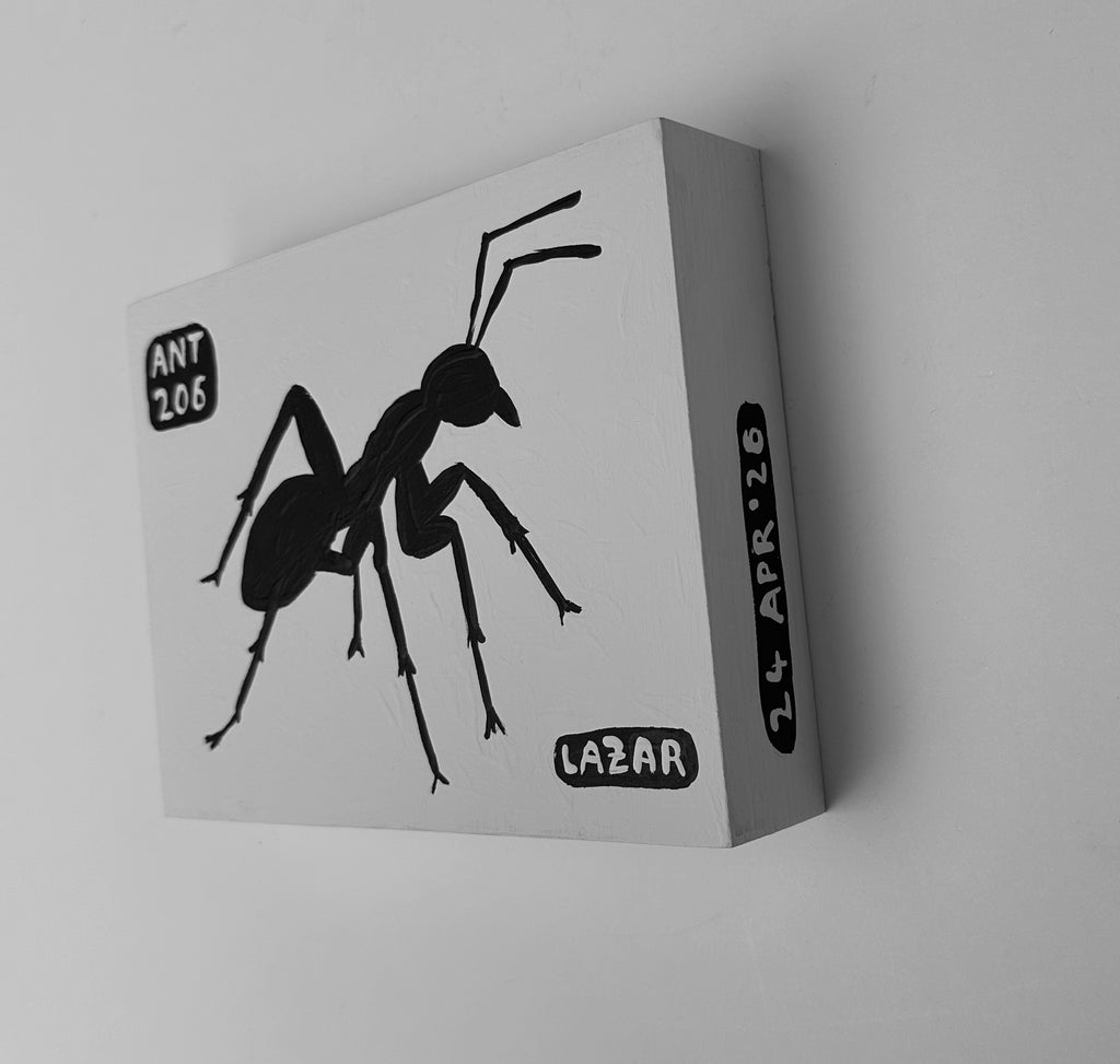 Ant #206