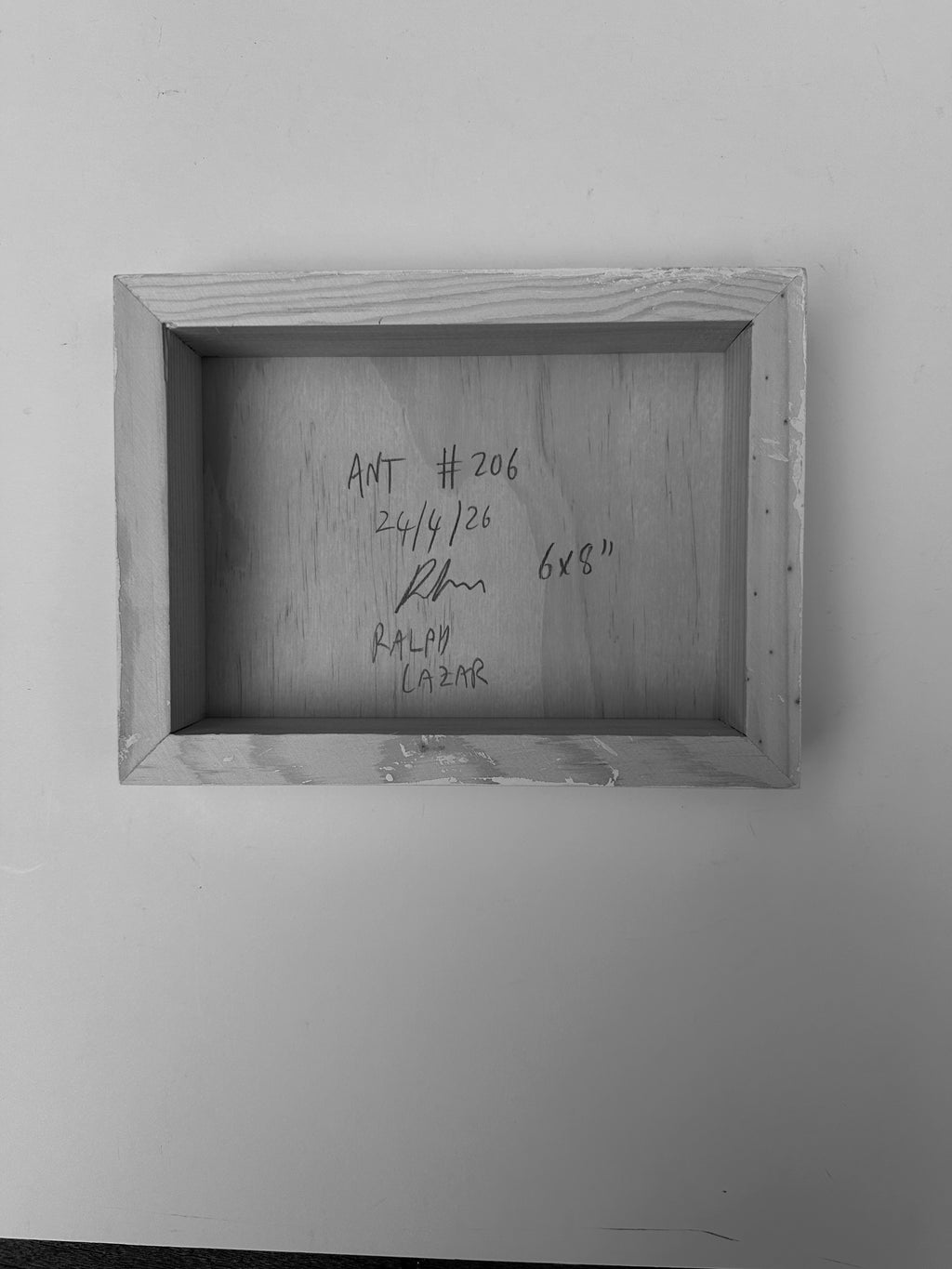 Ant #206