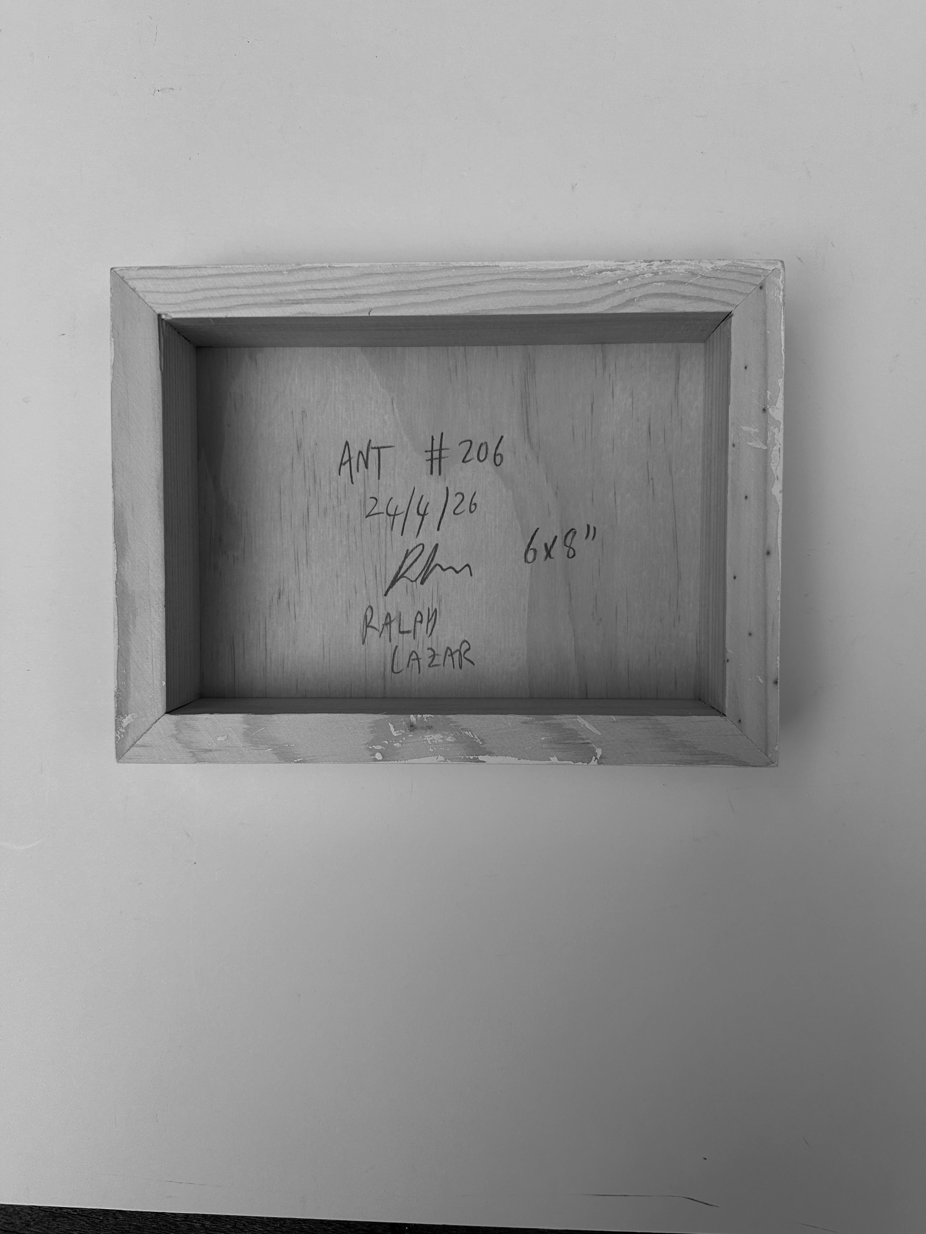 Ant #206