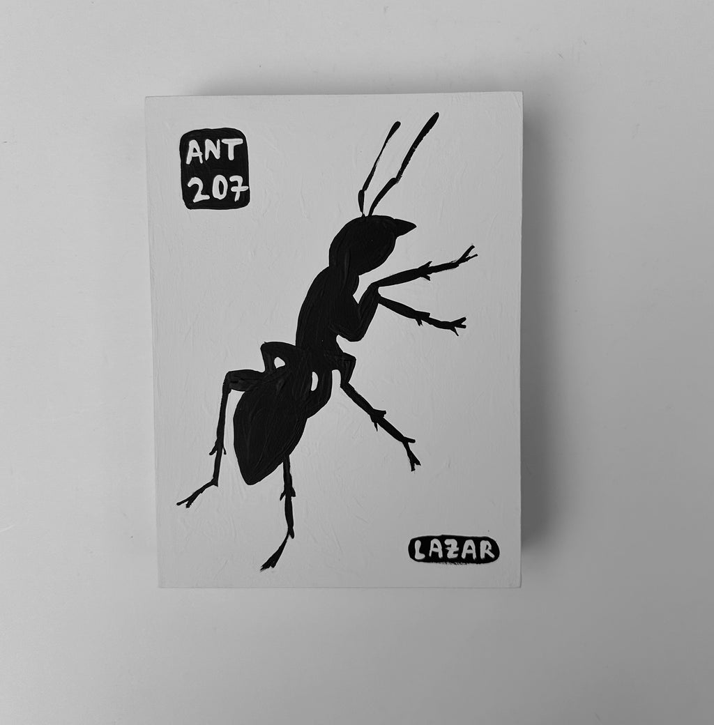 Ant #207