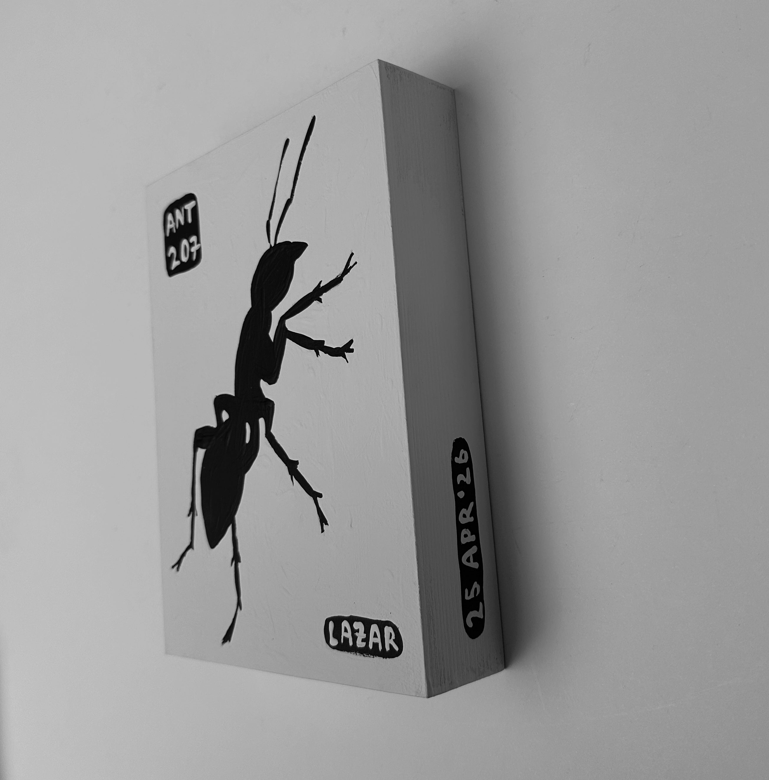 Ant #207