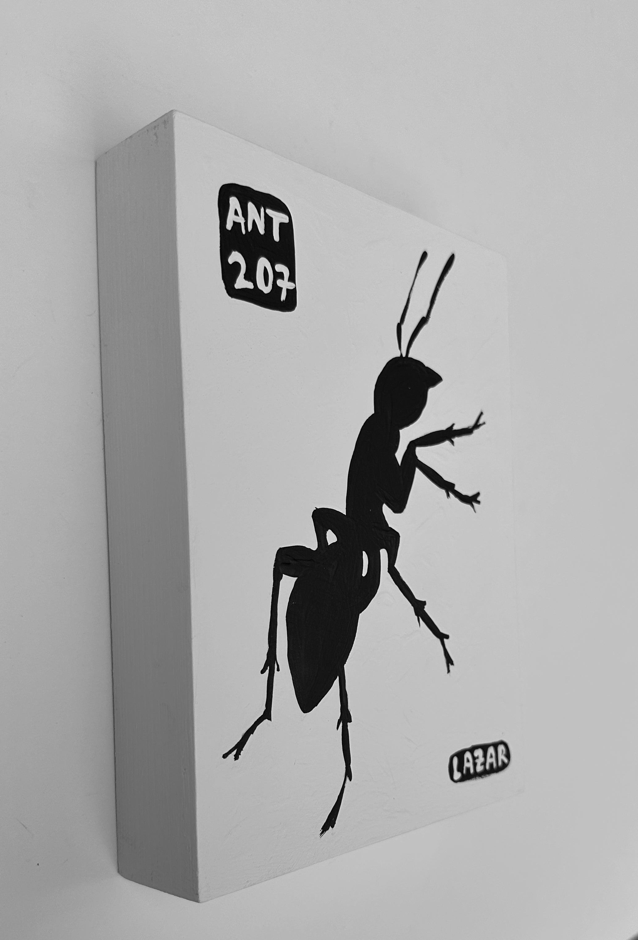 Ant #207