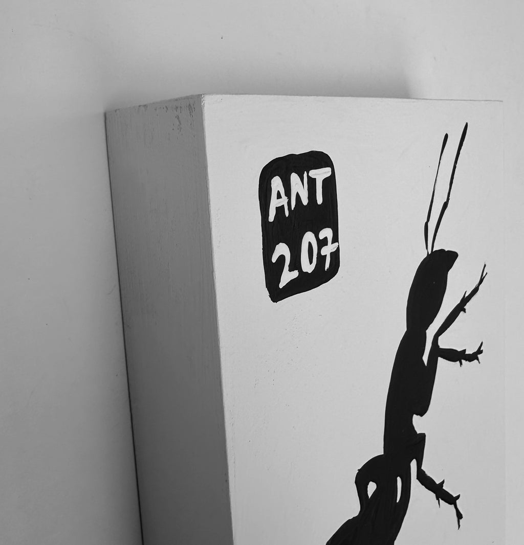 Ant #207