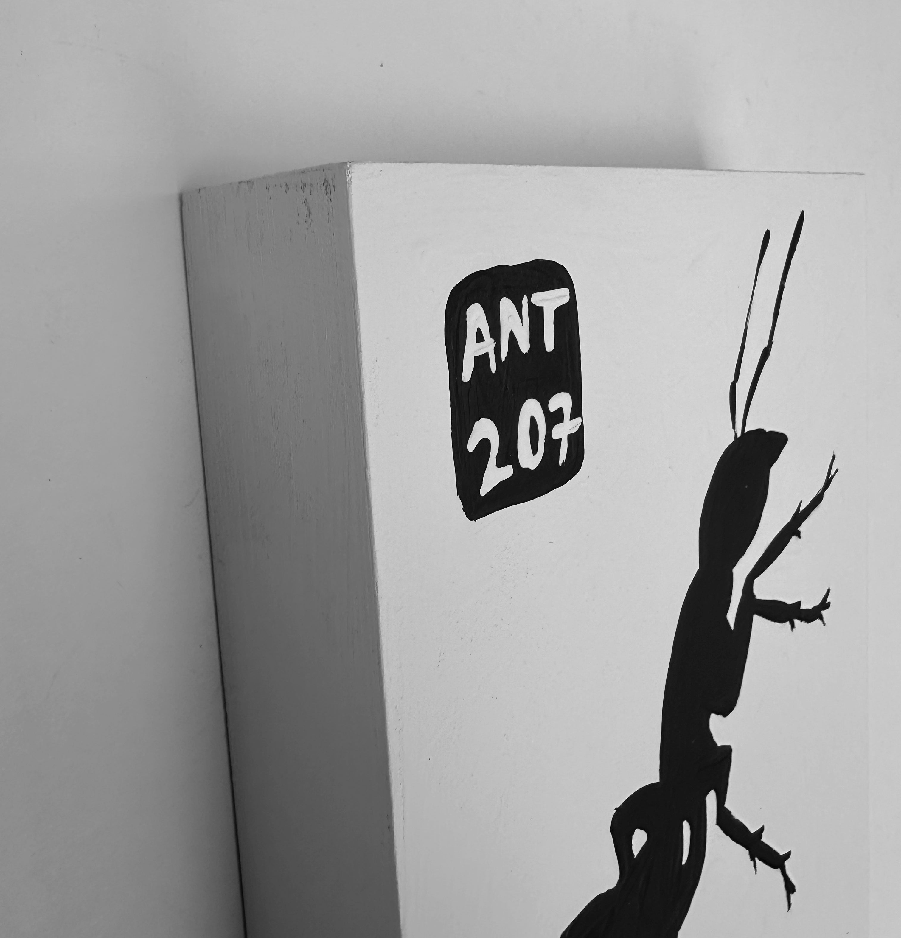 Ant #207