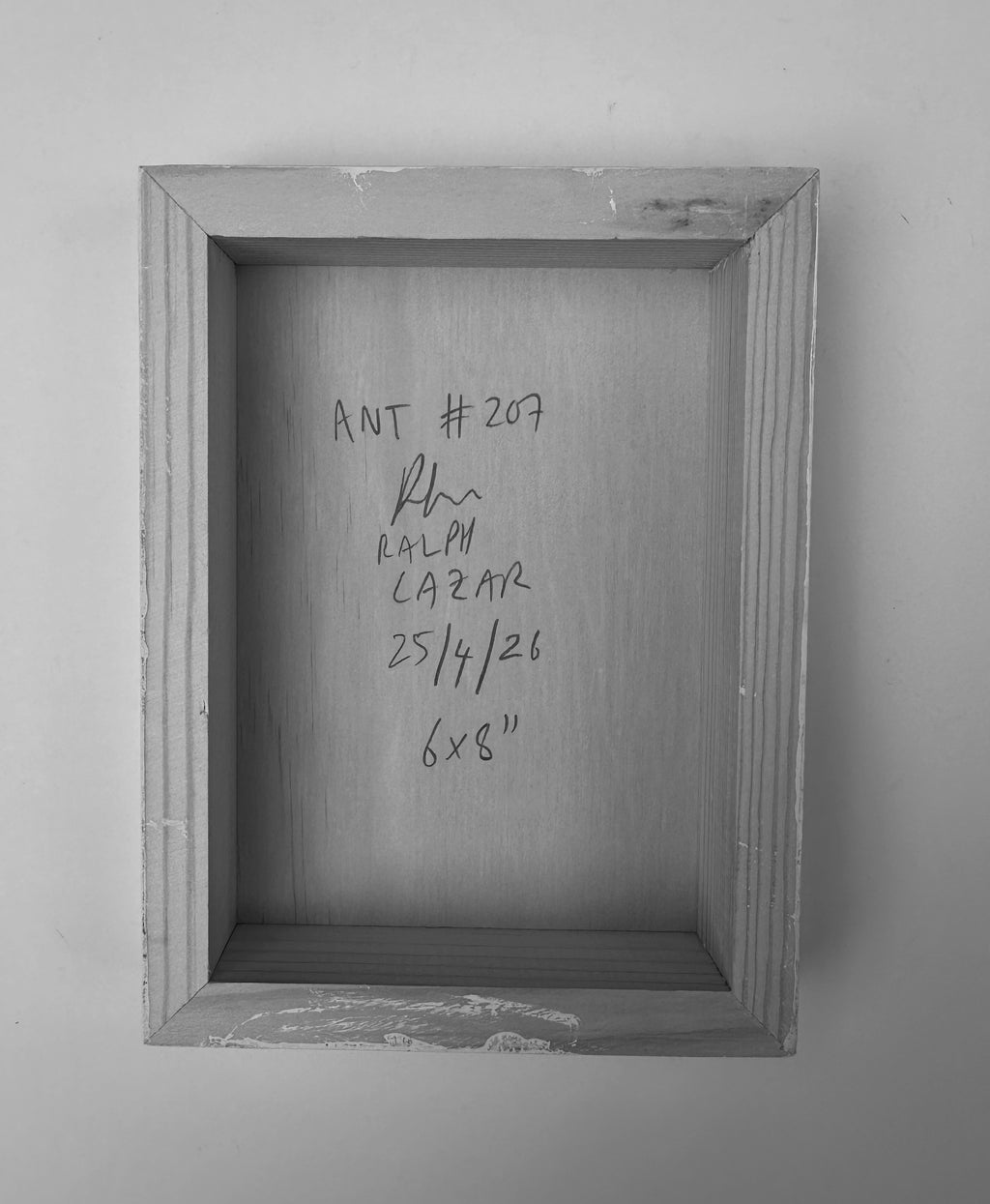 Ant #207