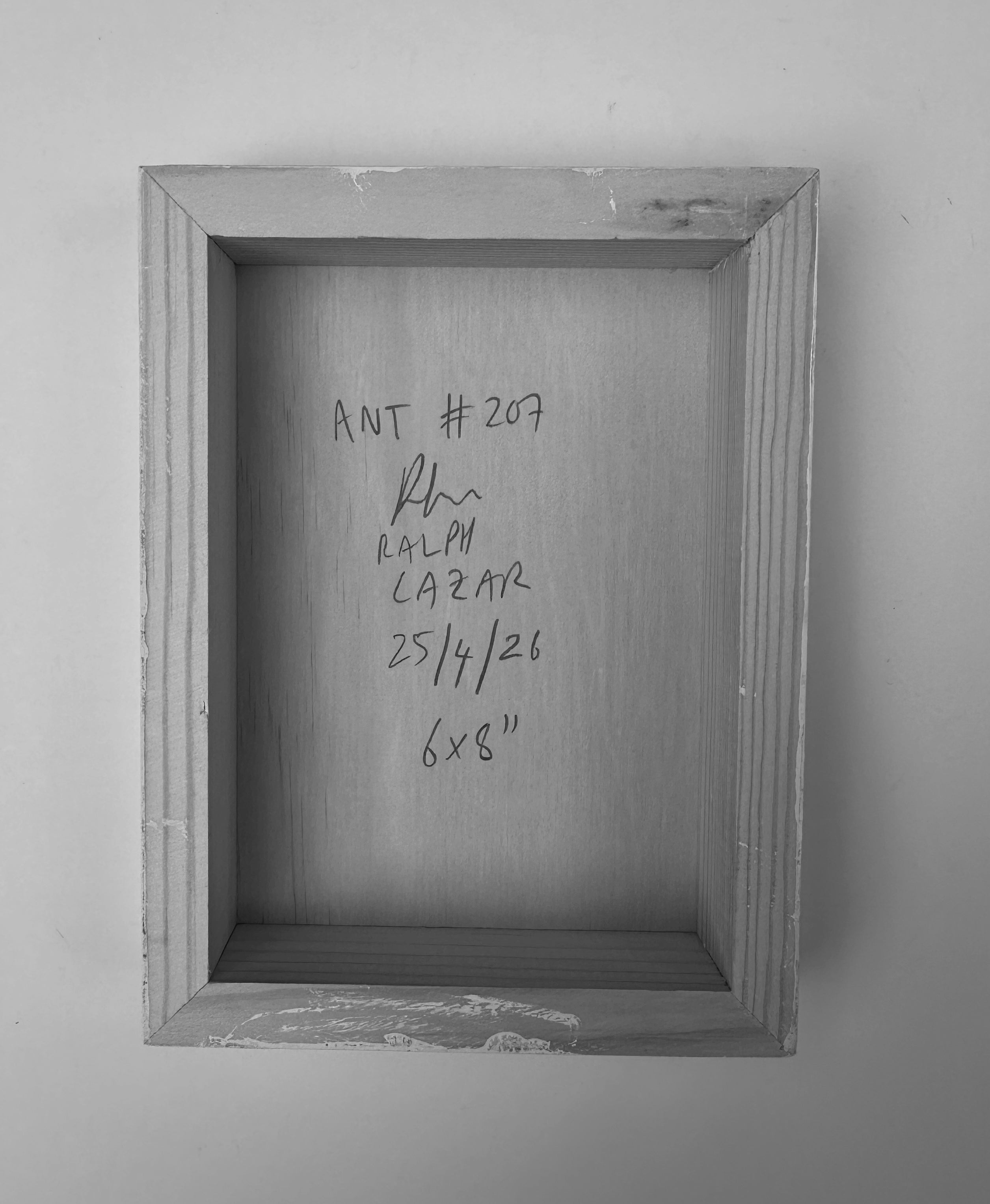 Ant #207