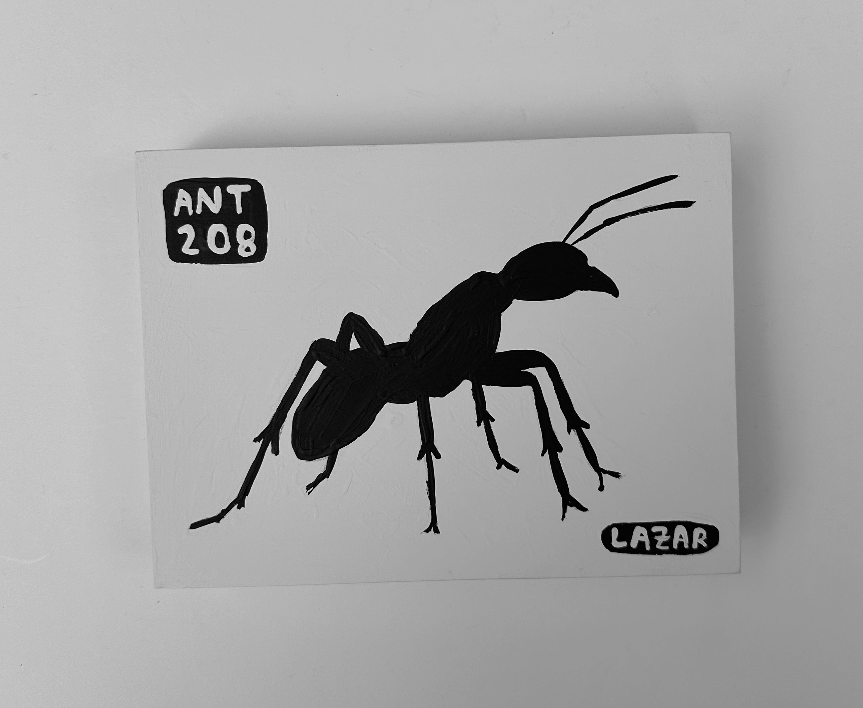 Ant #208