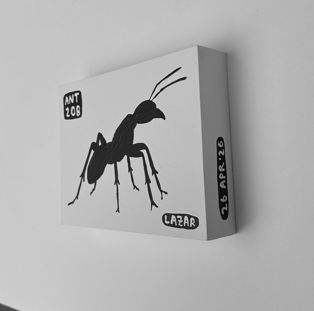 Ant #208