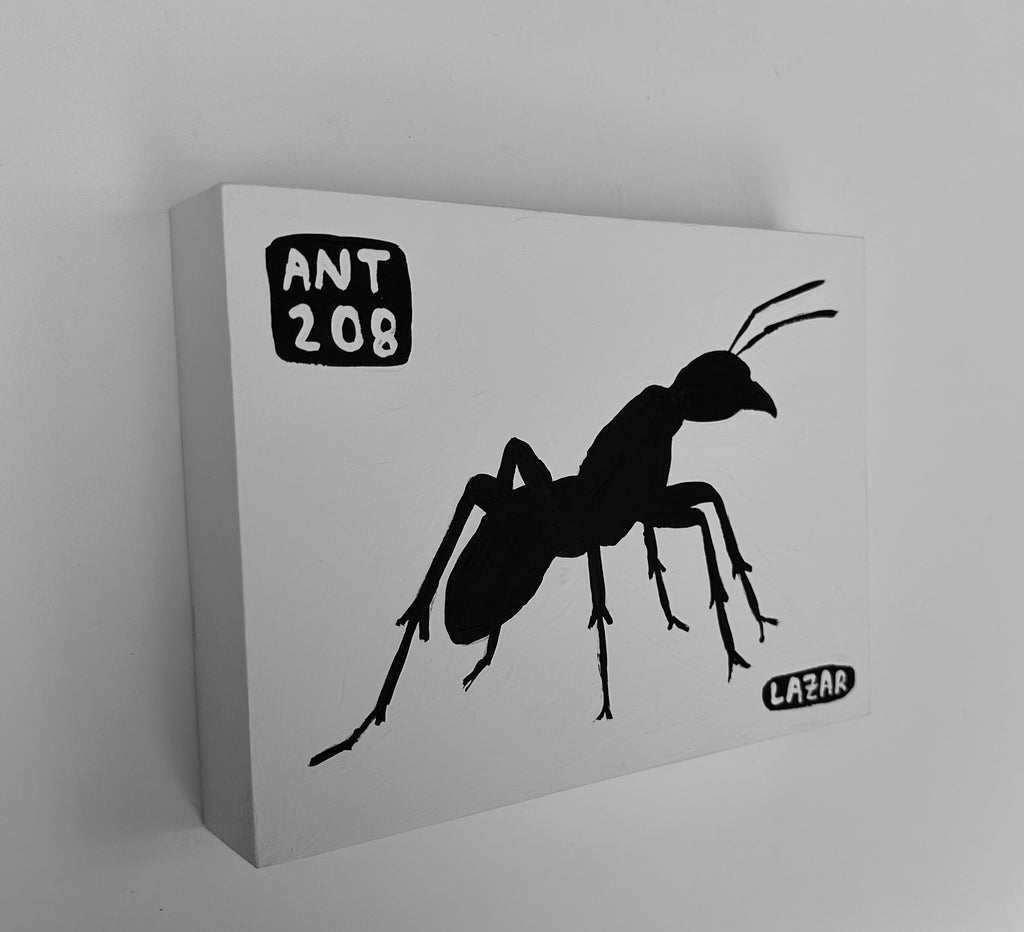Ant #208
