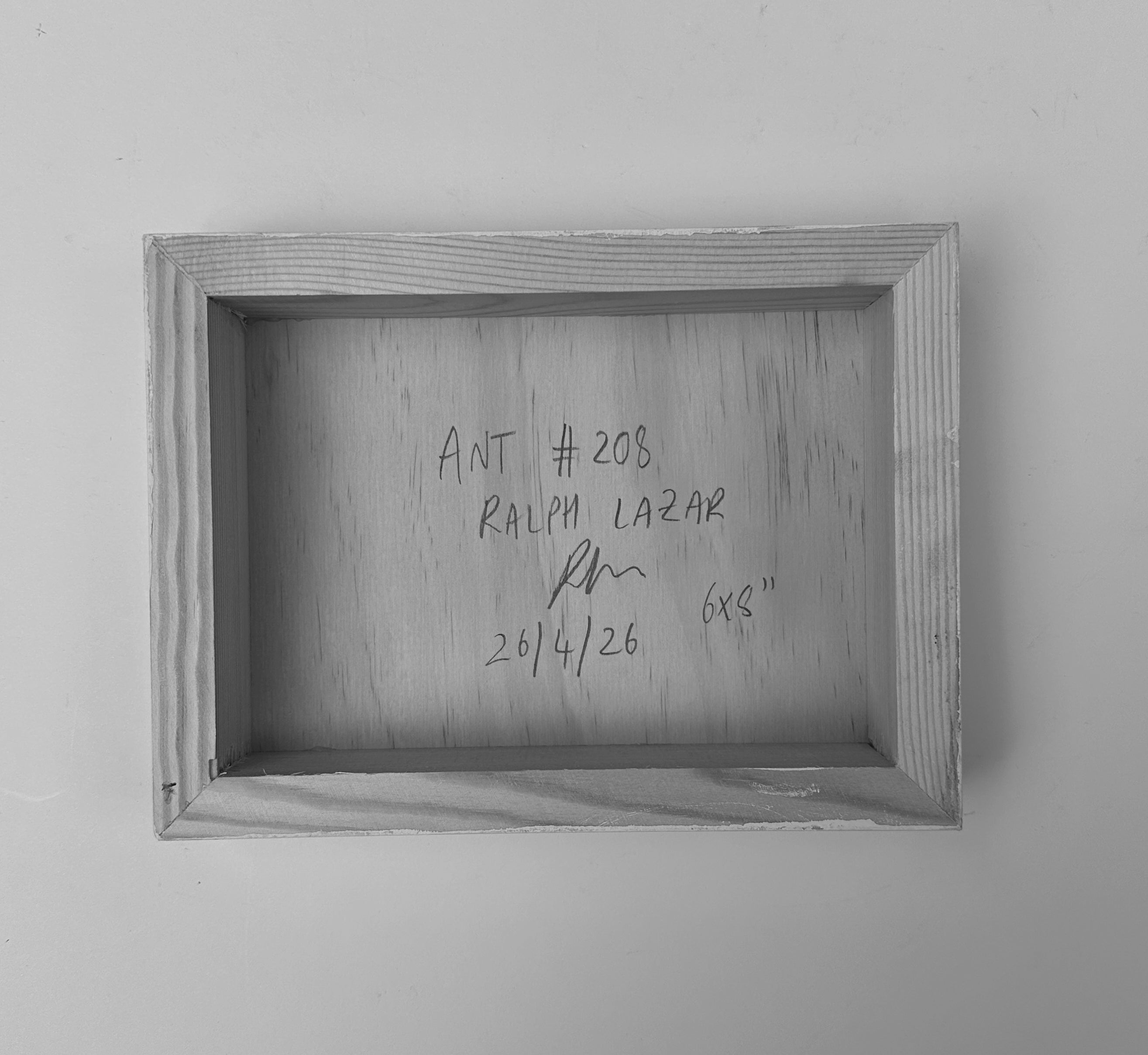 Ant #208