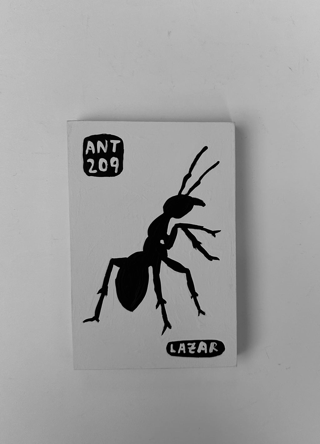 Ant #209