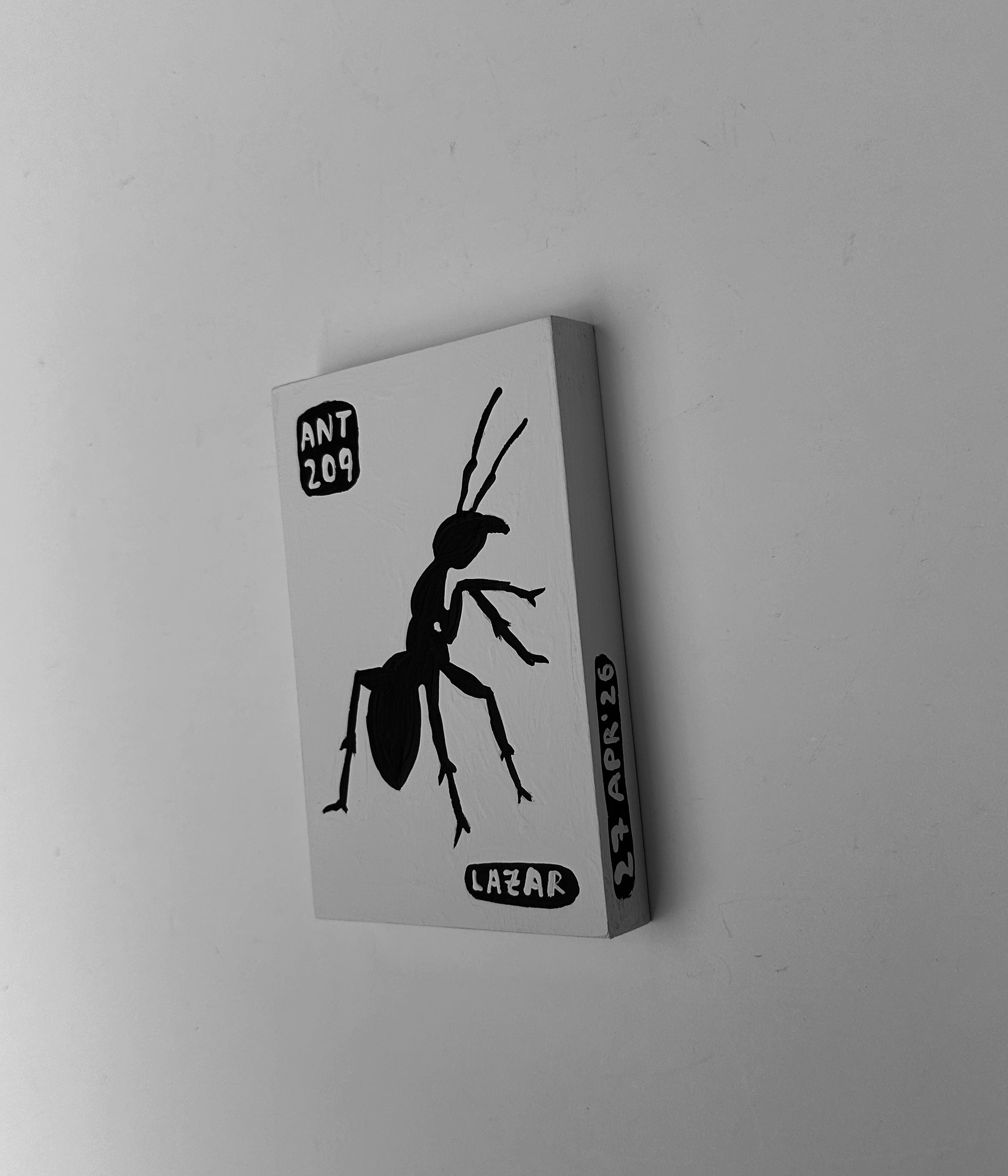 Ant #209