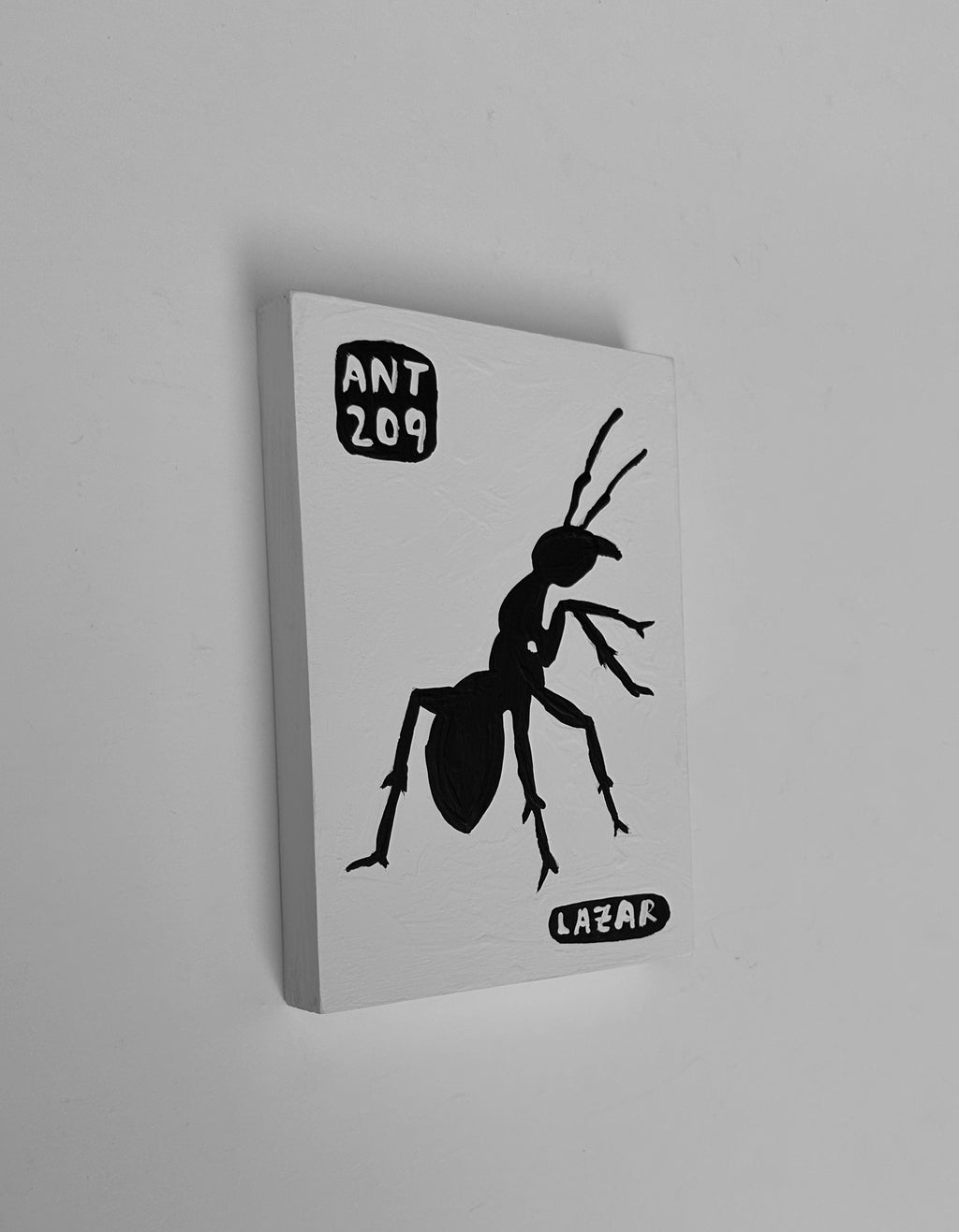 Ant #209
