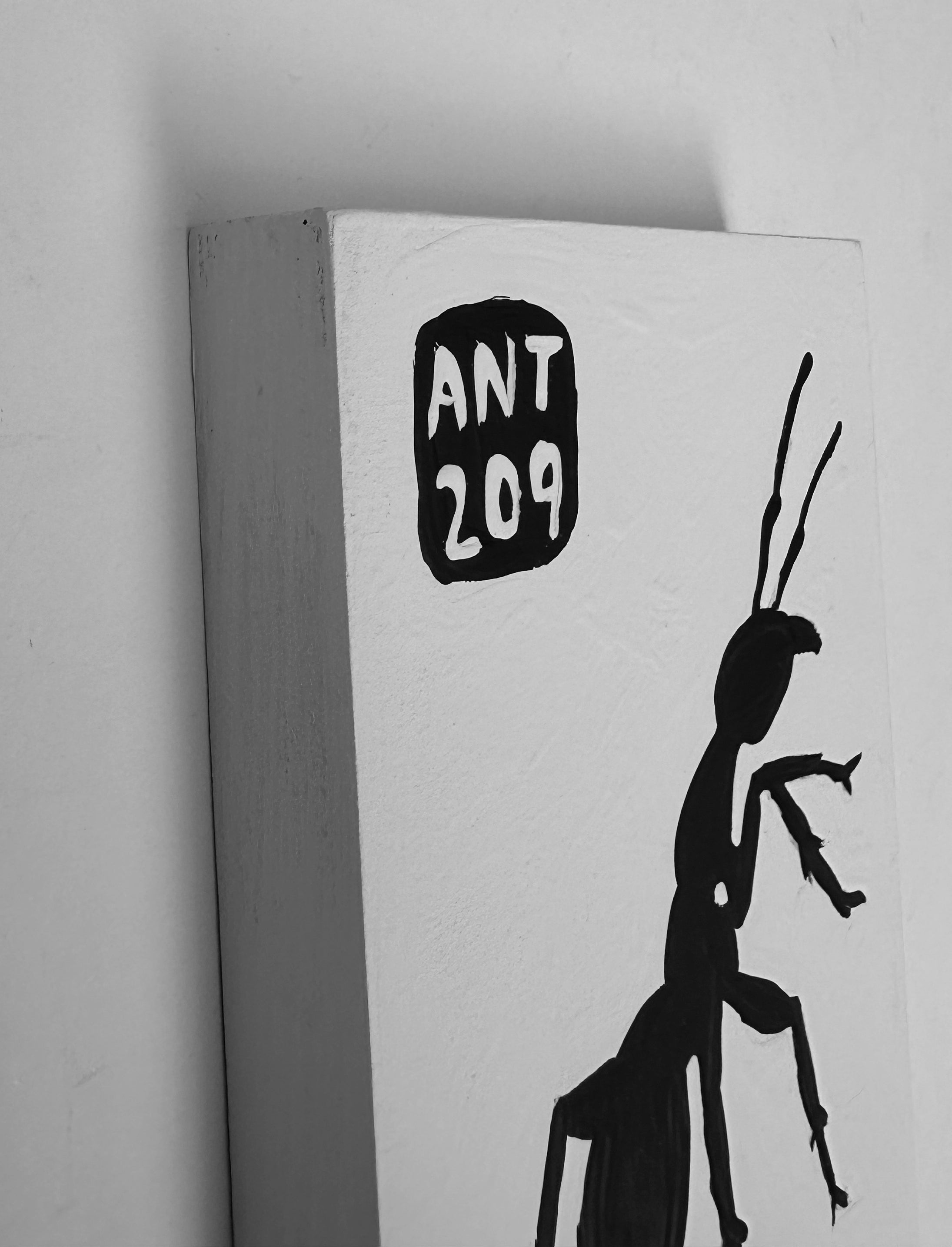 Ant #209