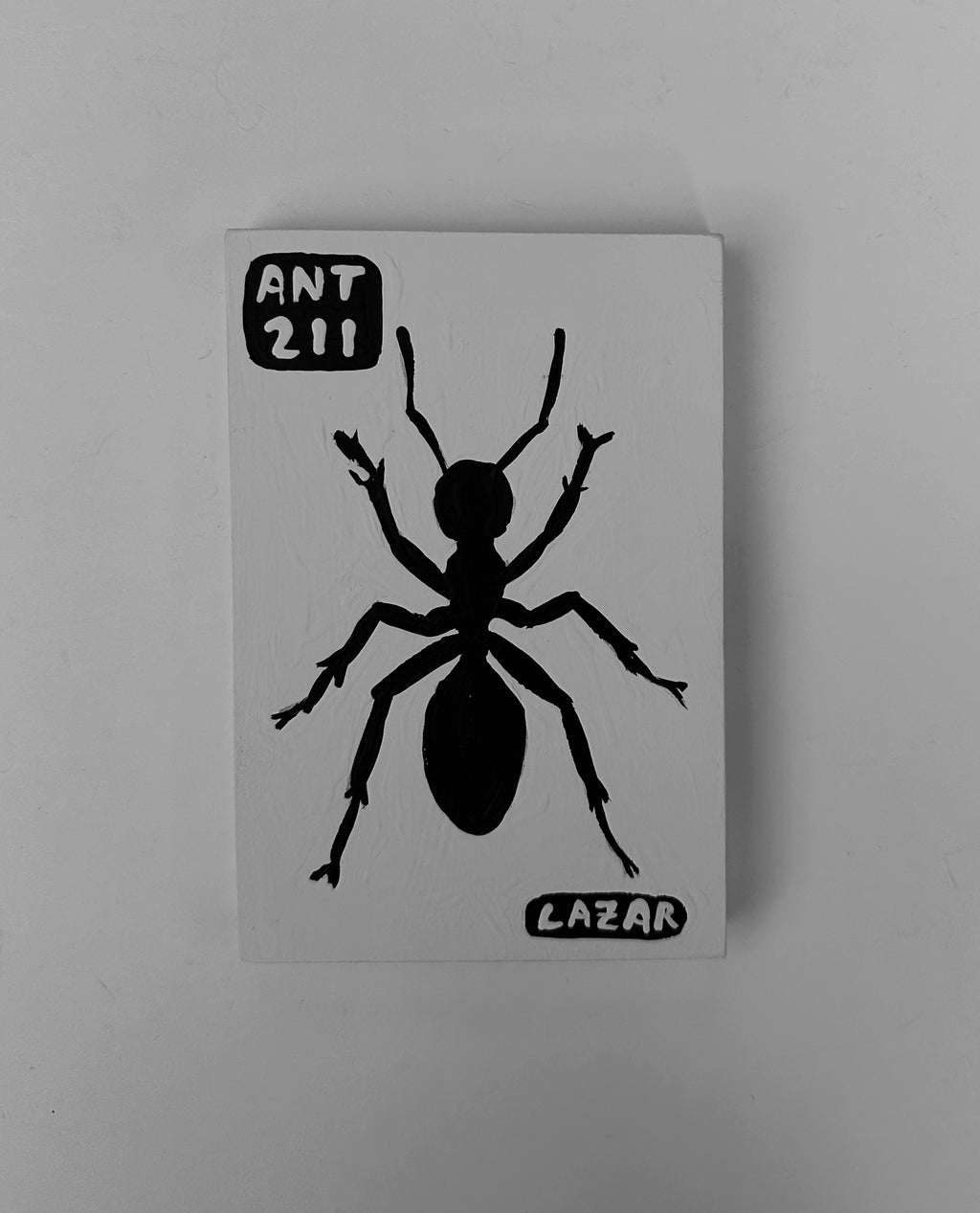 Ant #211