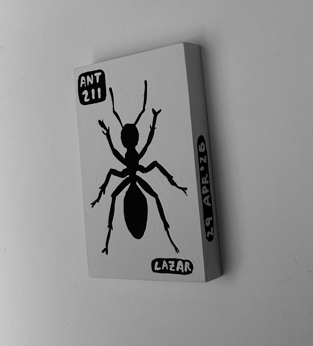 Ant #211