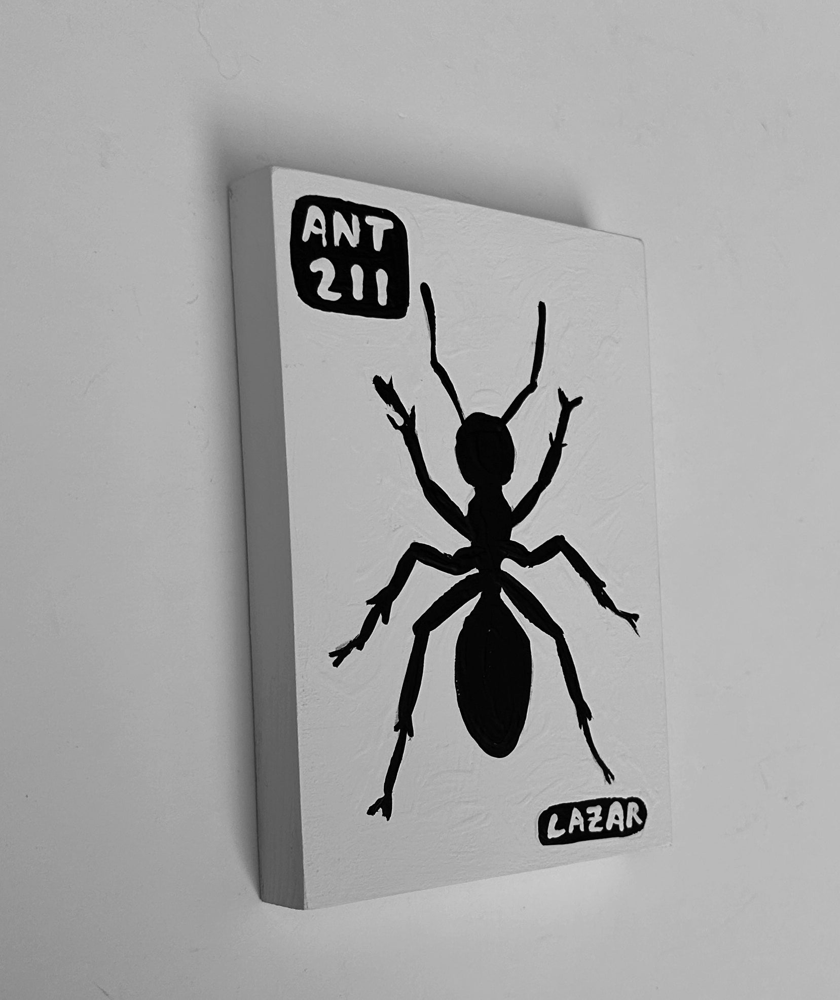 Ant #211