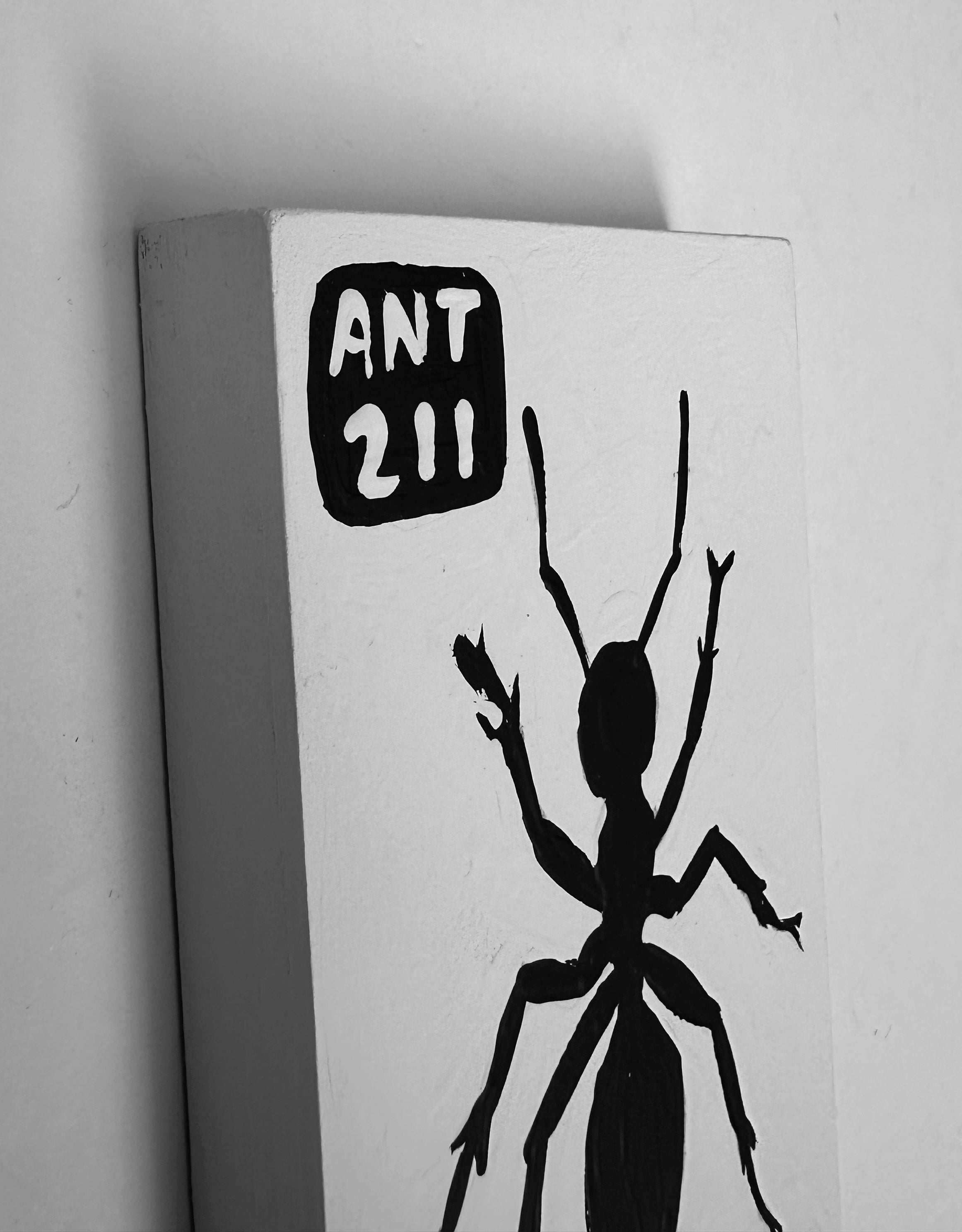 Ant #211