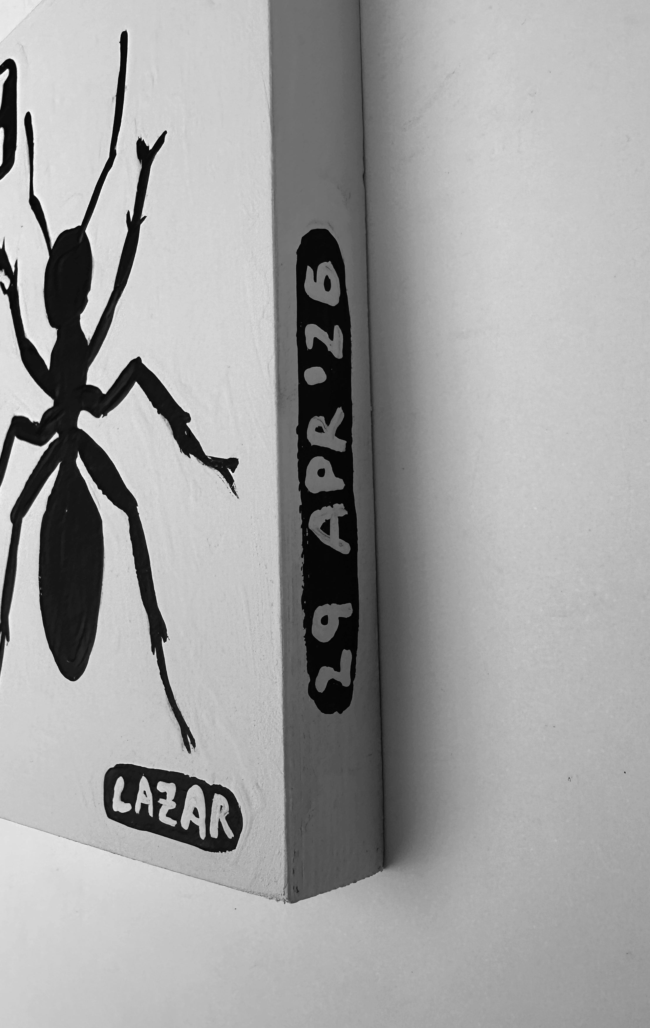 Ant #211