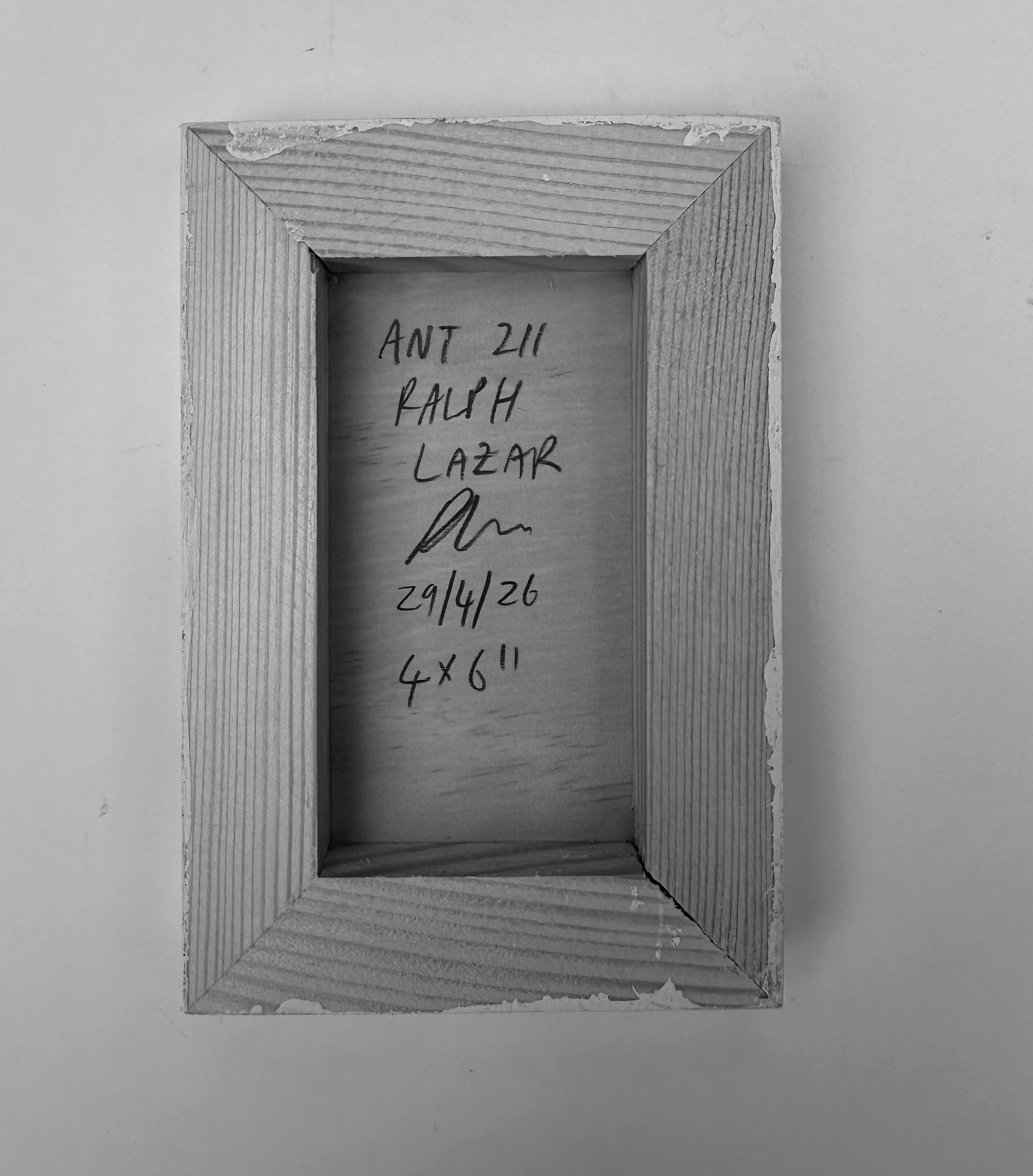 Ant #211