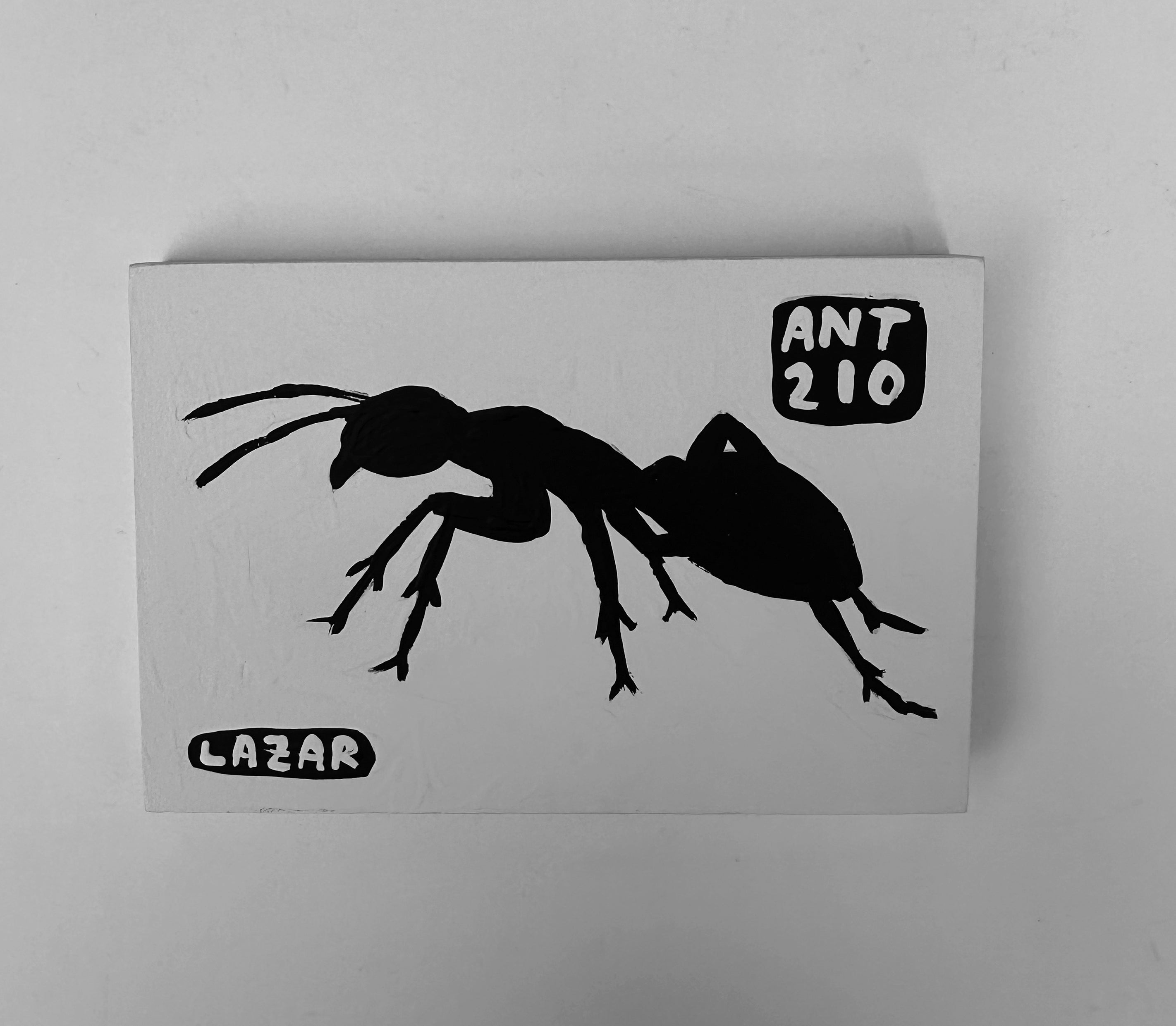 Ant #210