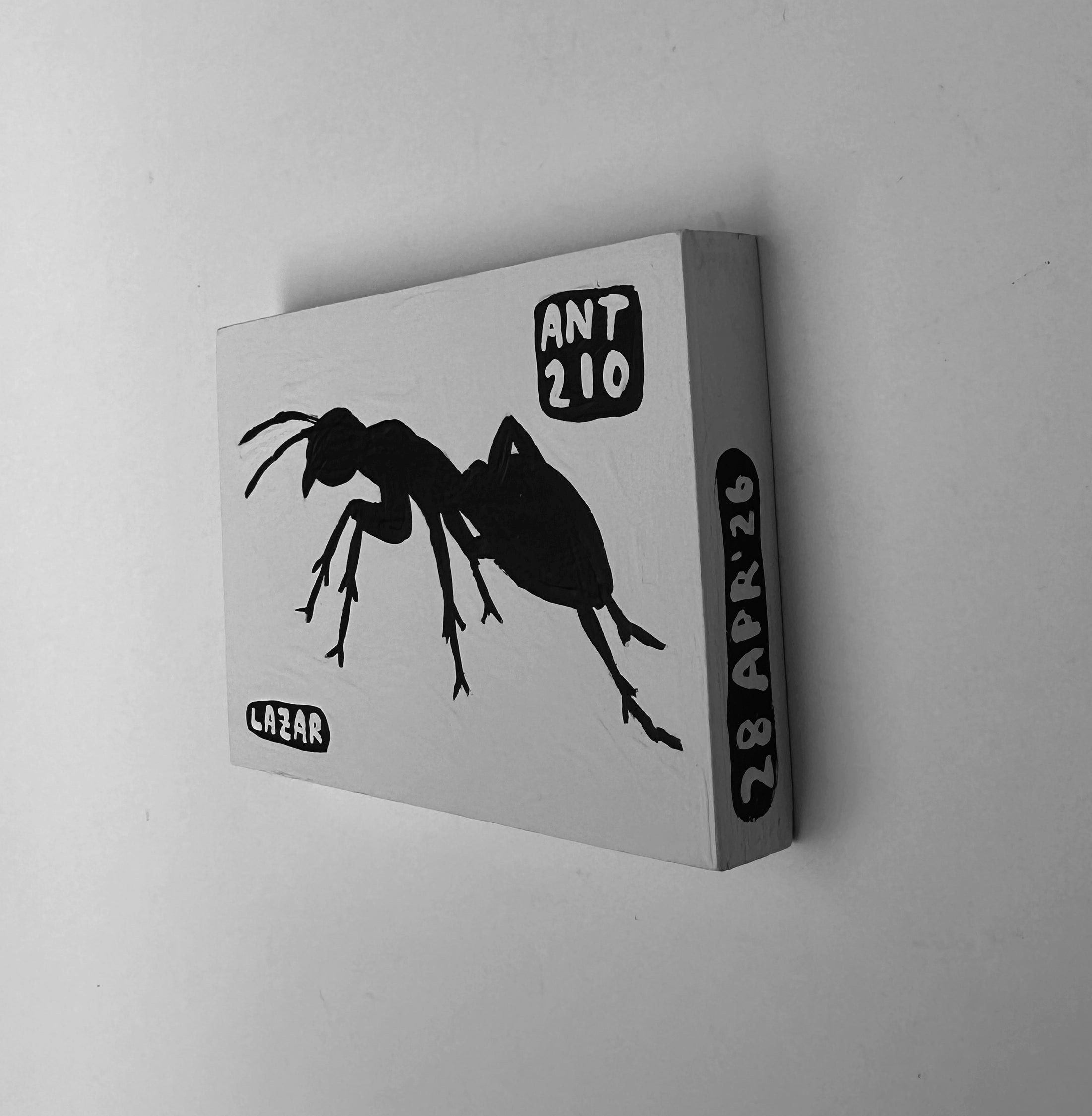 Ant #210