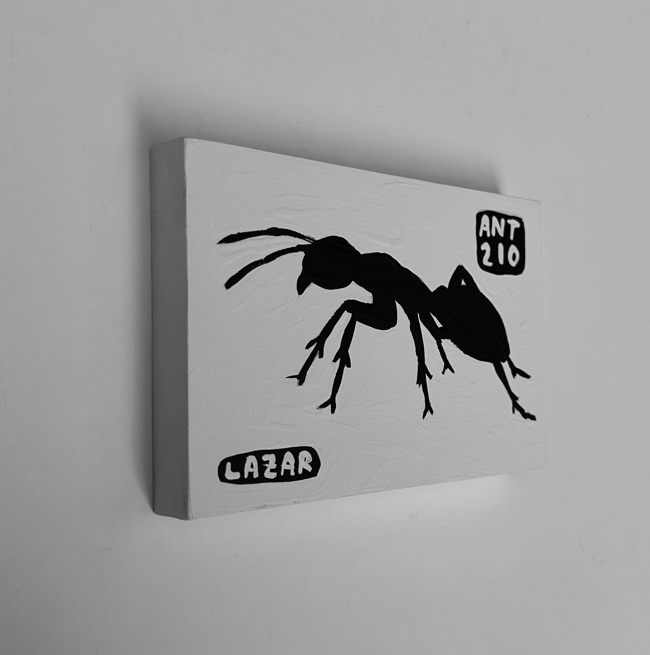 Ant #210