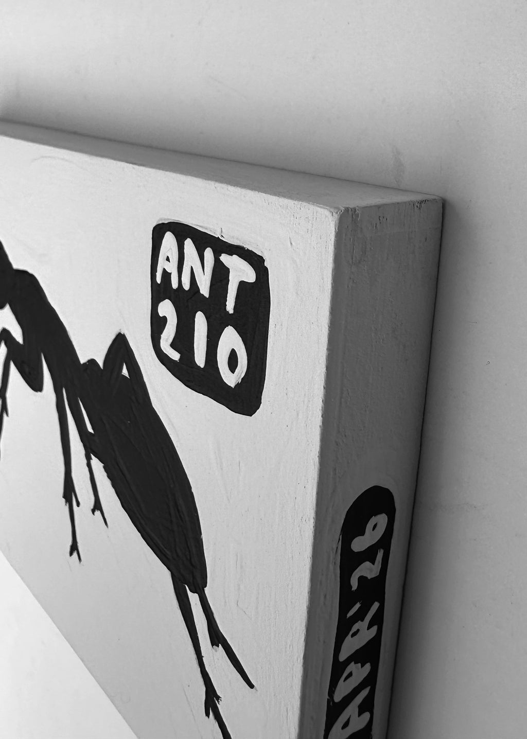 Ant #210