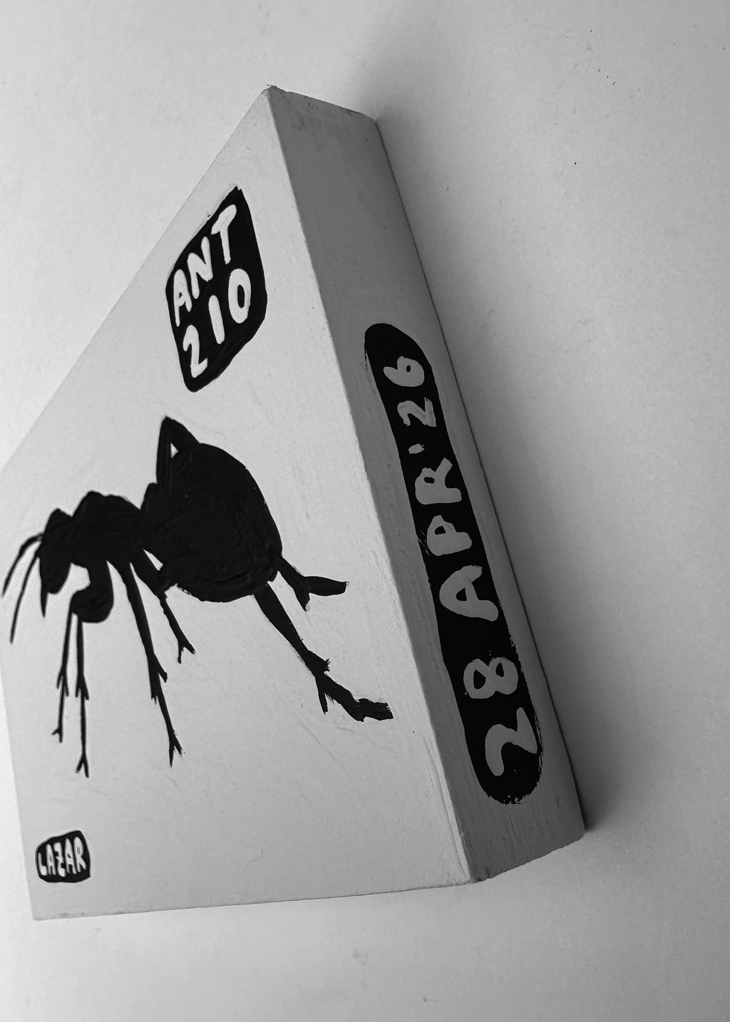 Ant #210