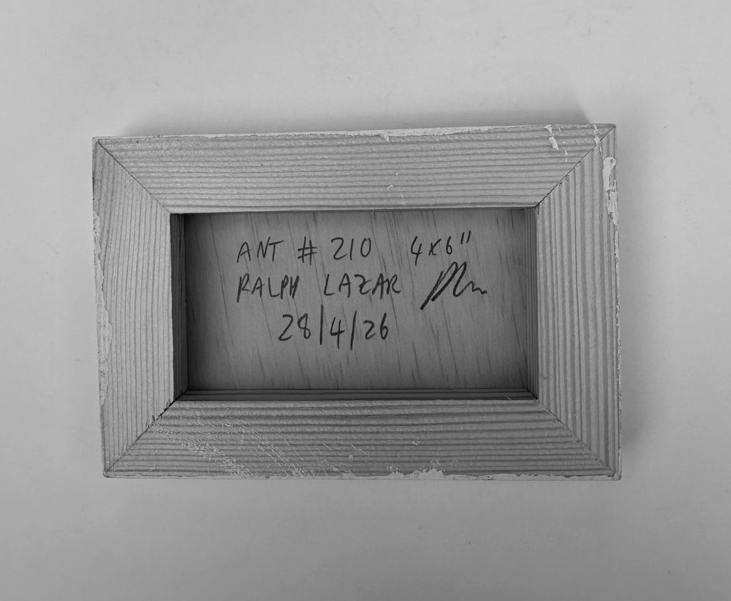Ant #210