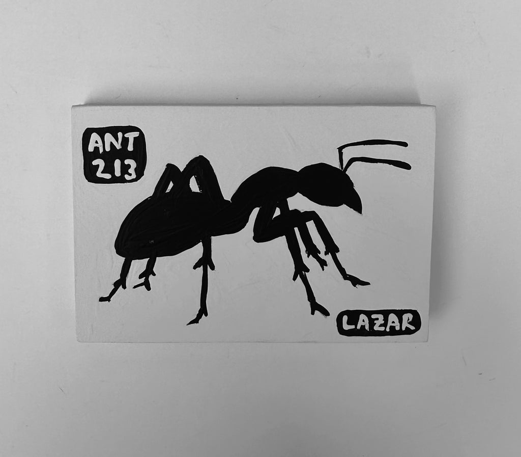 Ant #213