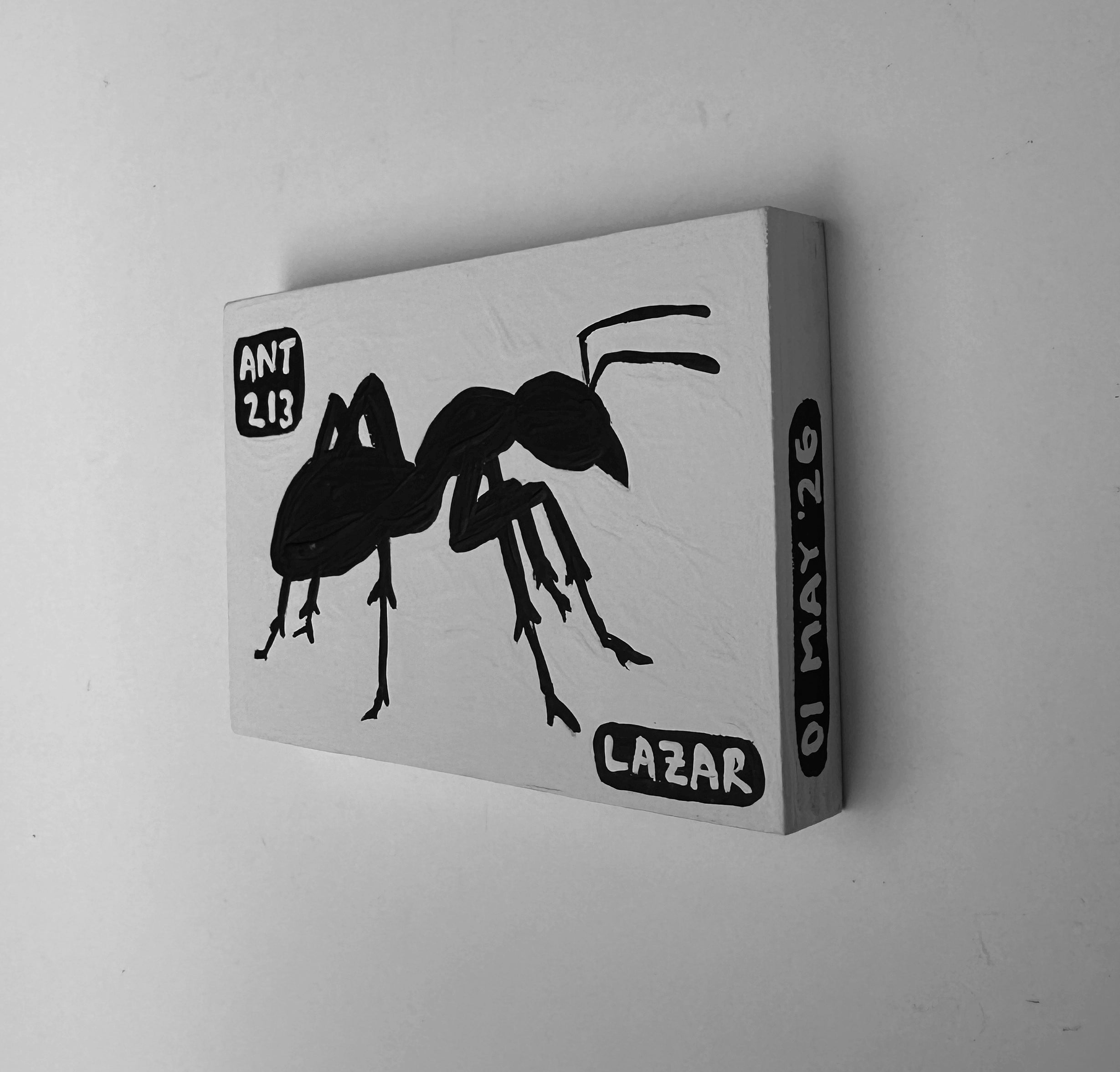 Ant #213