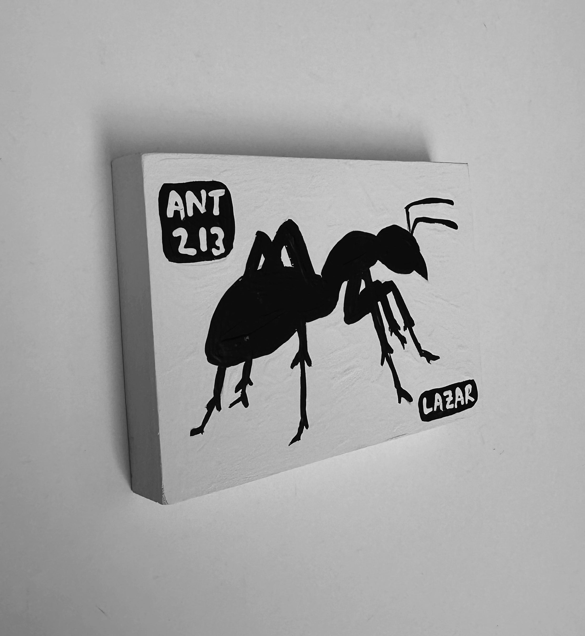 Ant #213