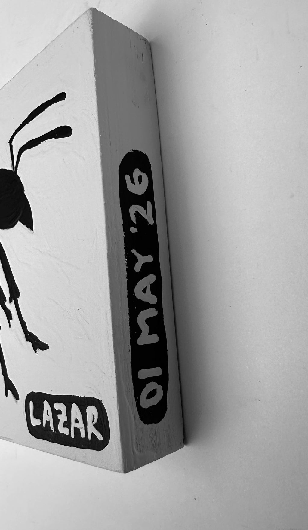 Ant #213