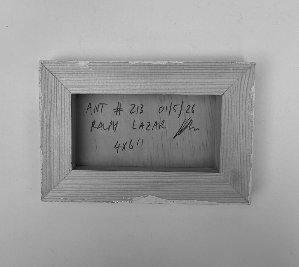 Ant #213