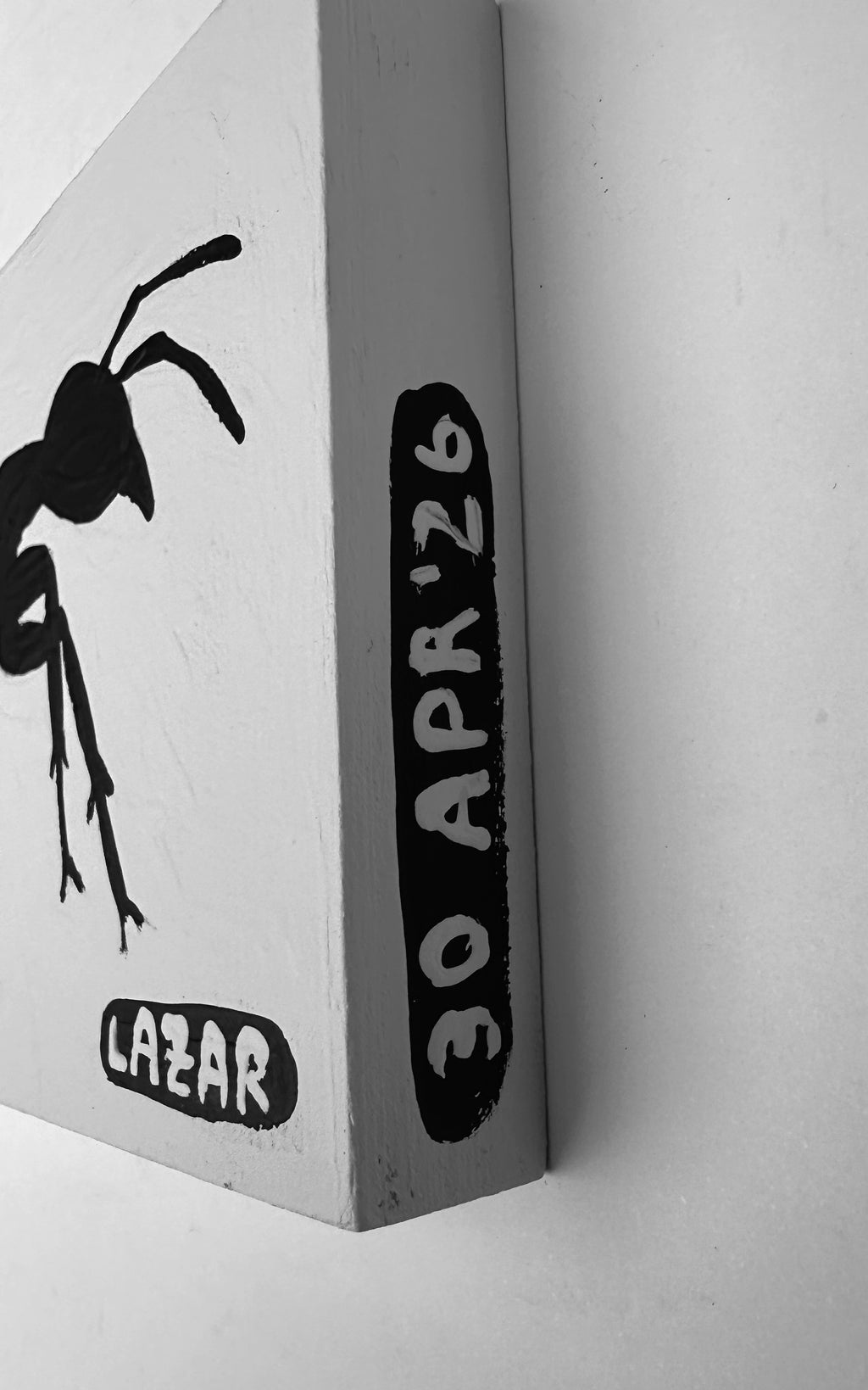 Ant #212