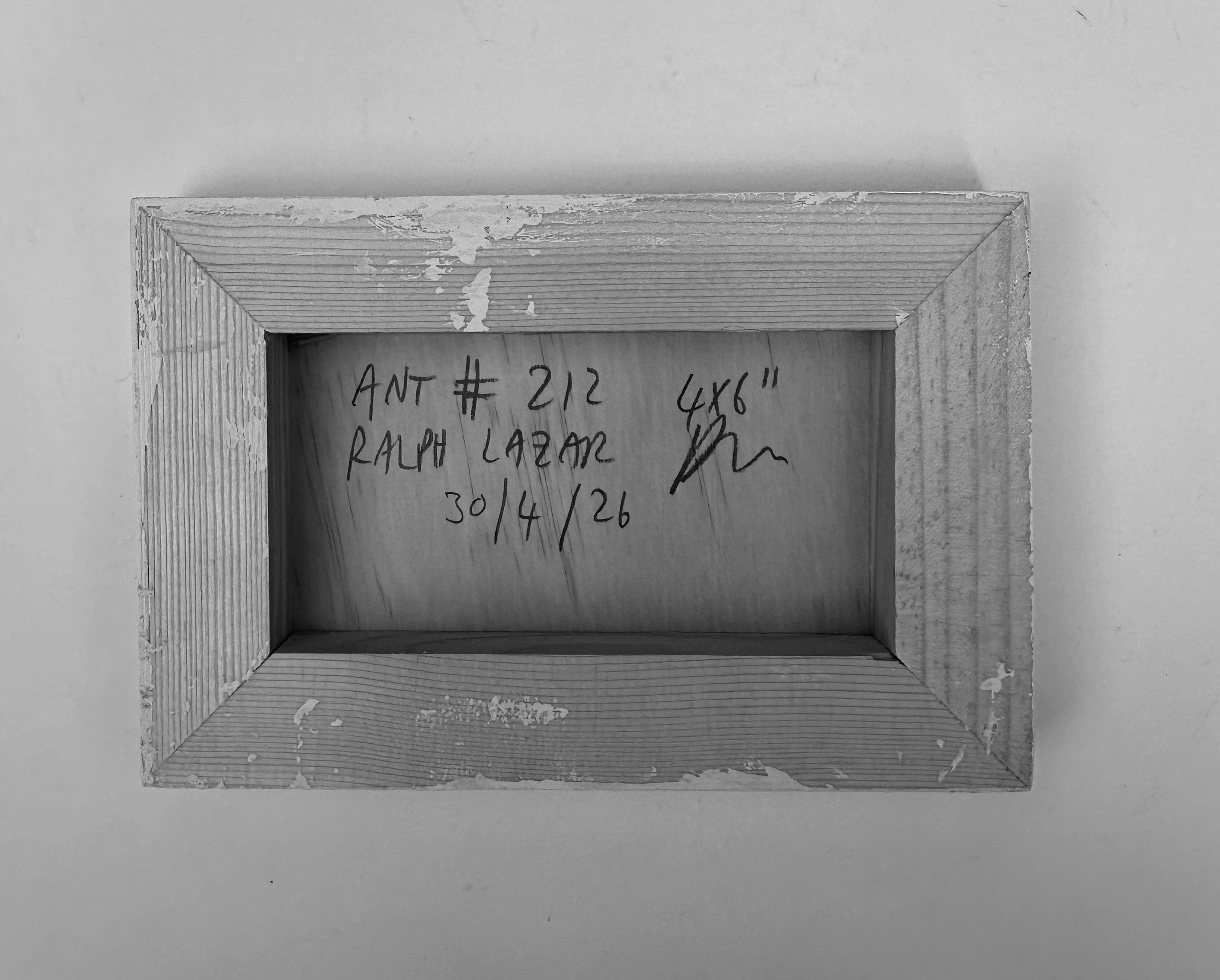 Ant #212