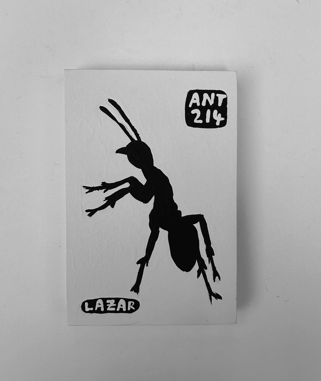 Ant #214