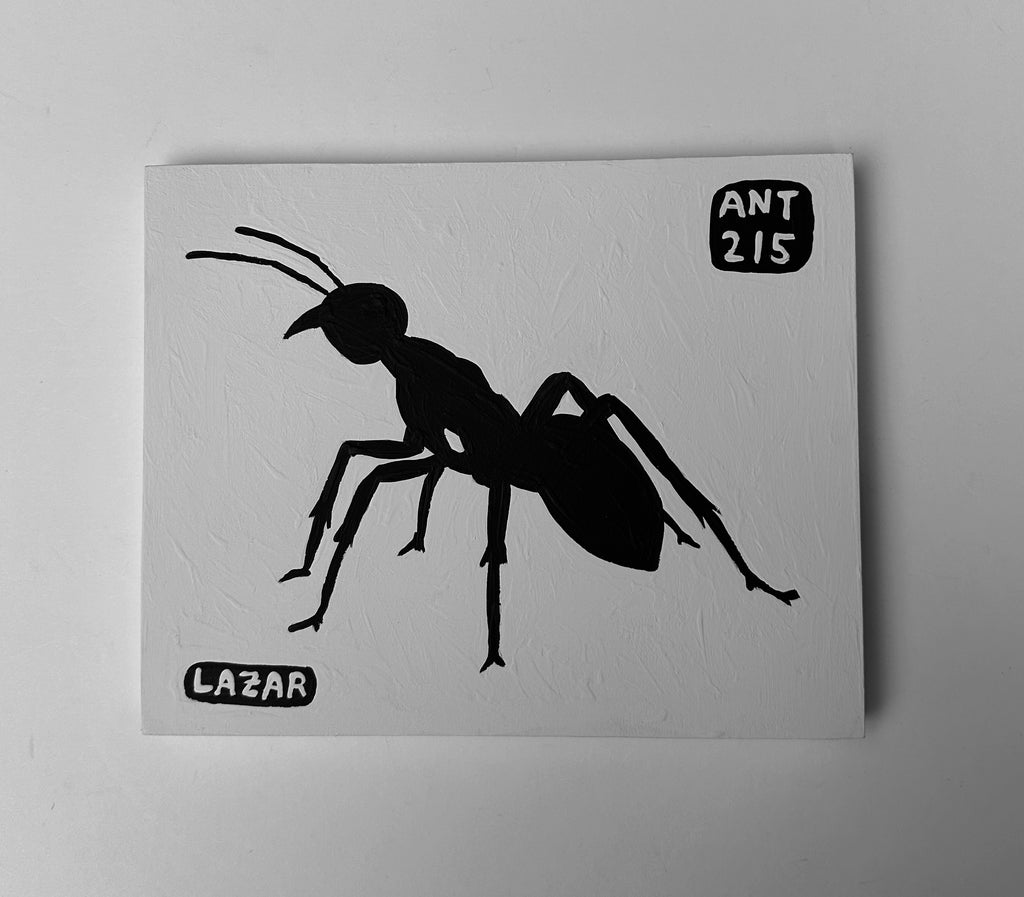 Ant #215