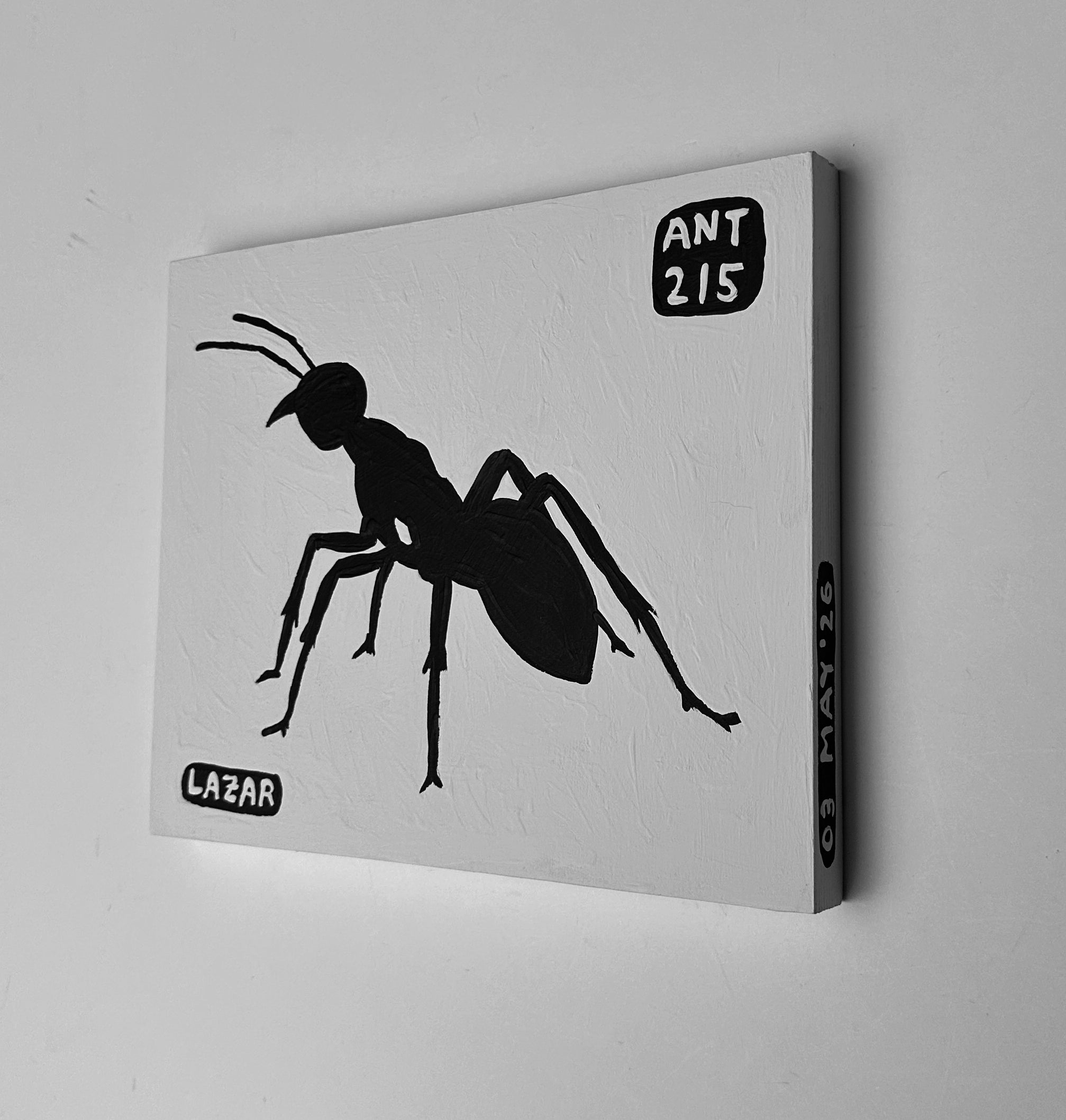 Ant #215
