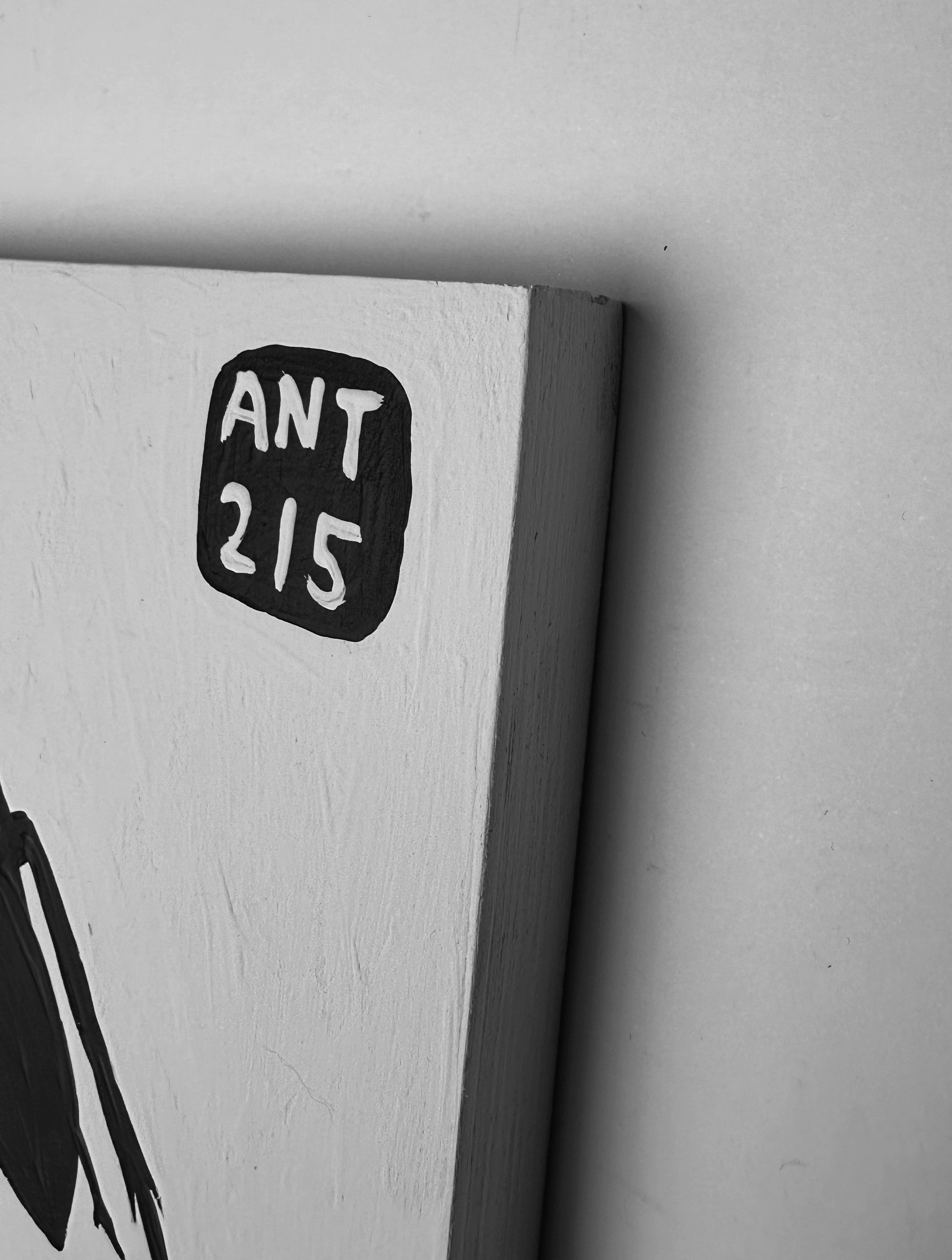 Ant #215