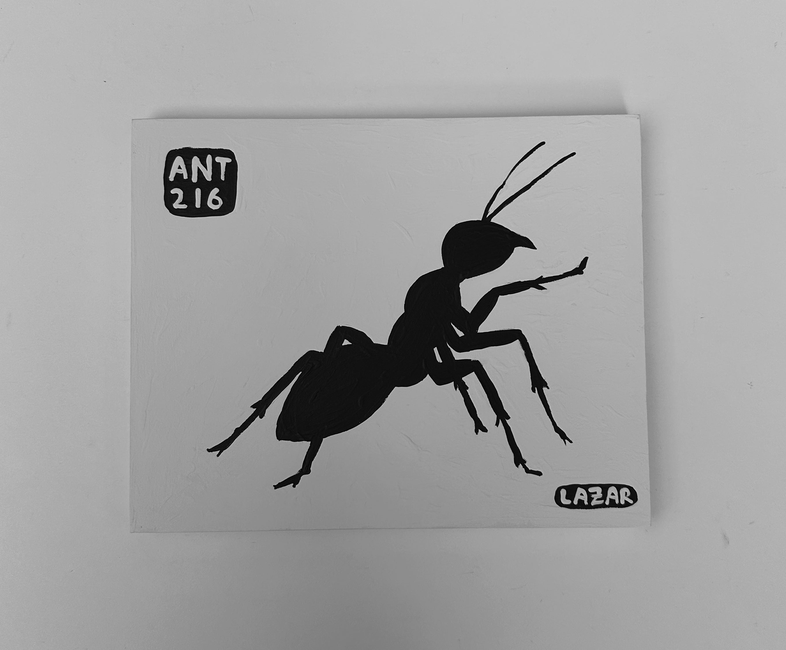 Ant #216